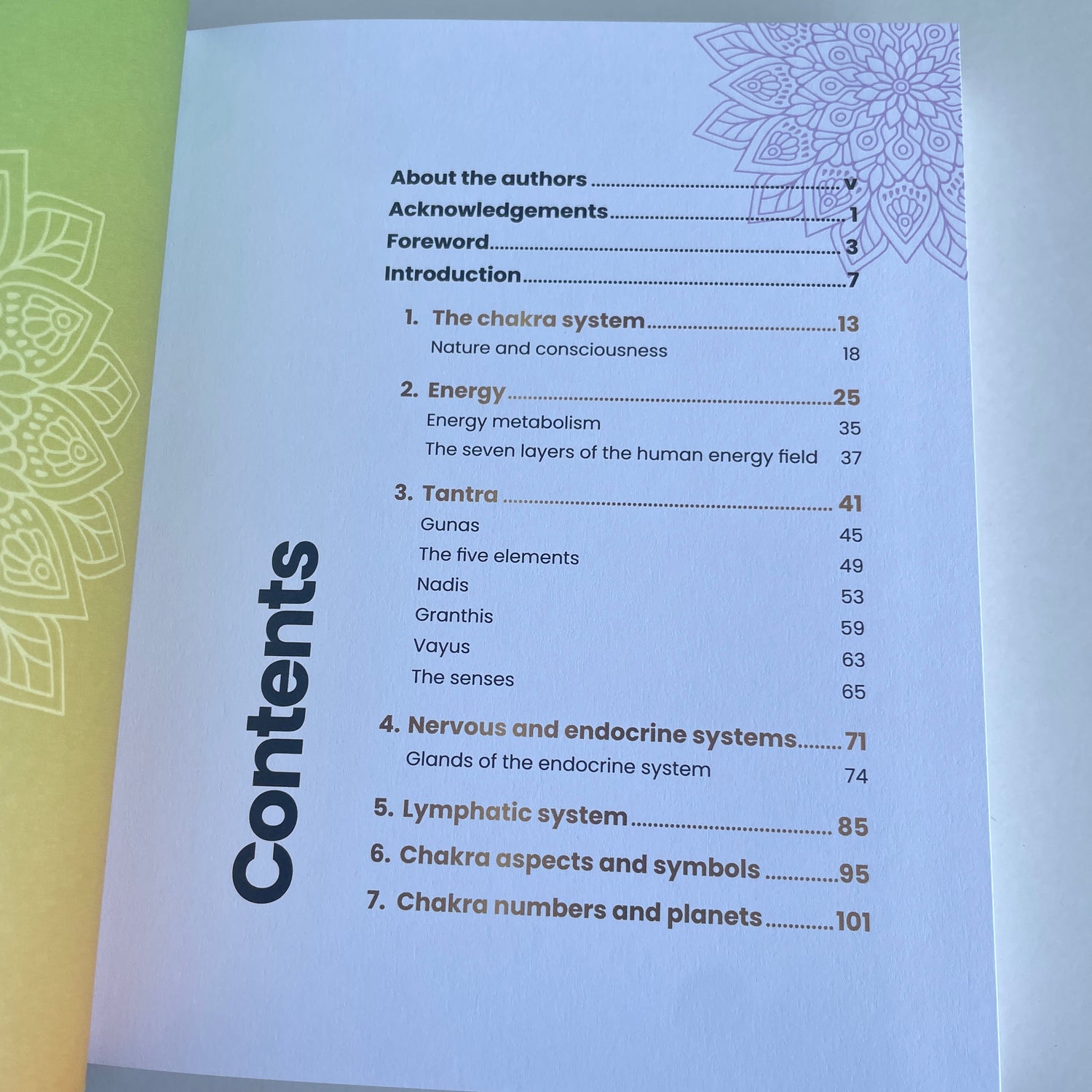 Journey Through The Chakras Ravi Ratan