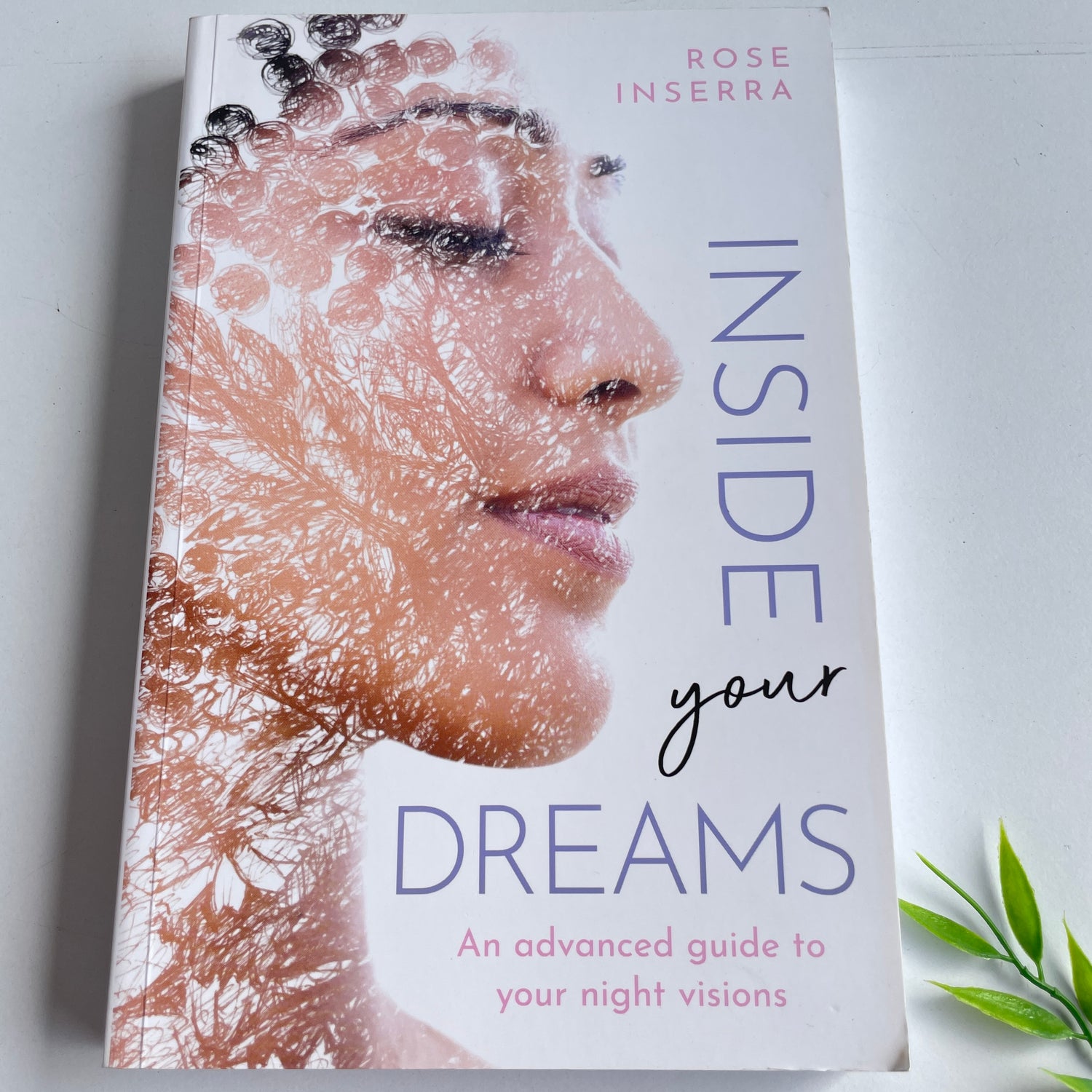 Inside Your Dreams Rose Inserra