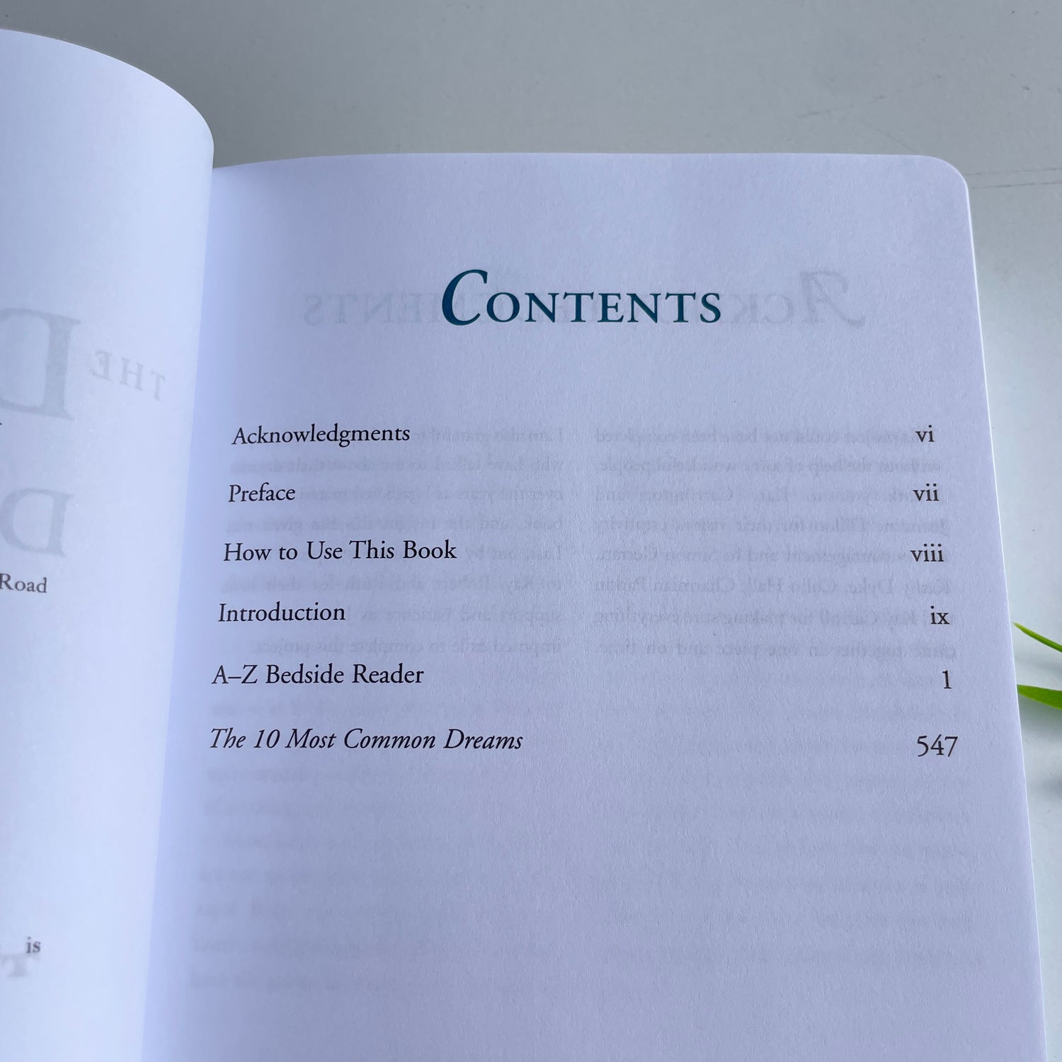The Dream Dictionary From A-Z Theresa Cheung