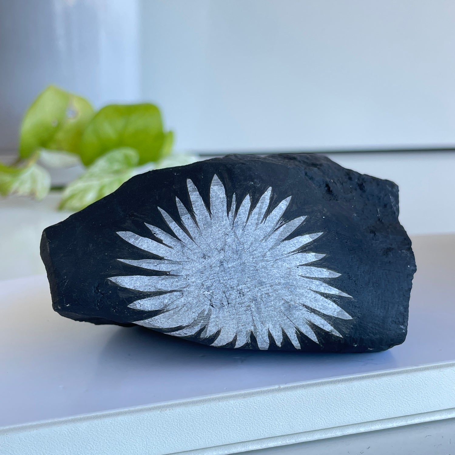 Chrysanthemum Stone 358g