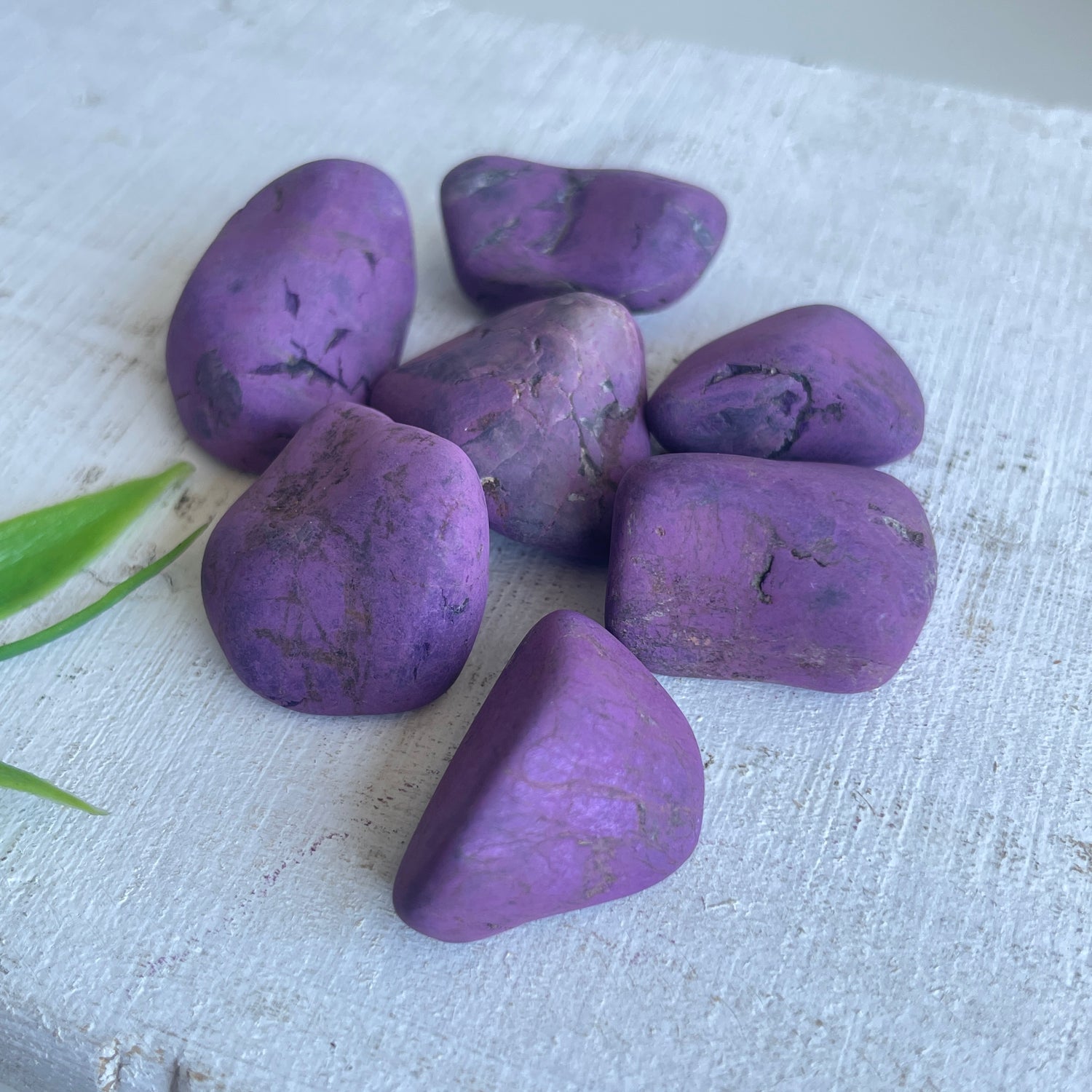 Purpurite Tumble