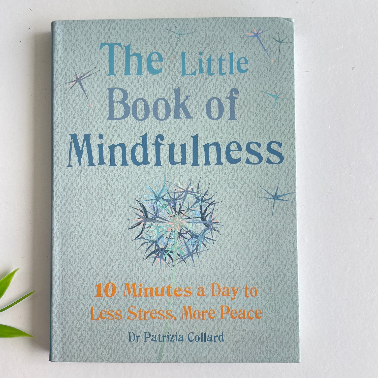 The Little Book of Mindfulness Dr Patrizia Collard