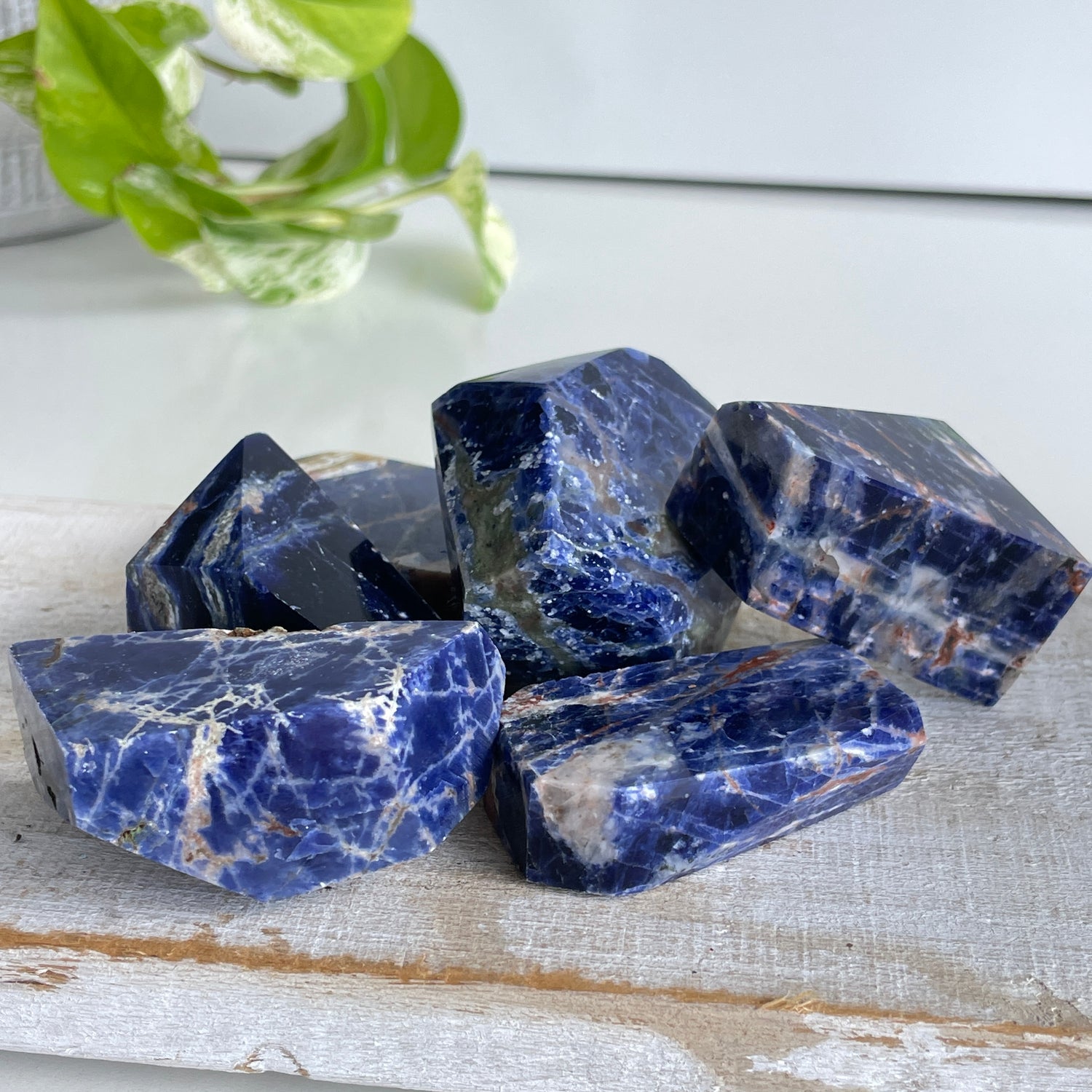 Sodalite Freeform Sml Assorted