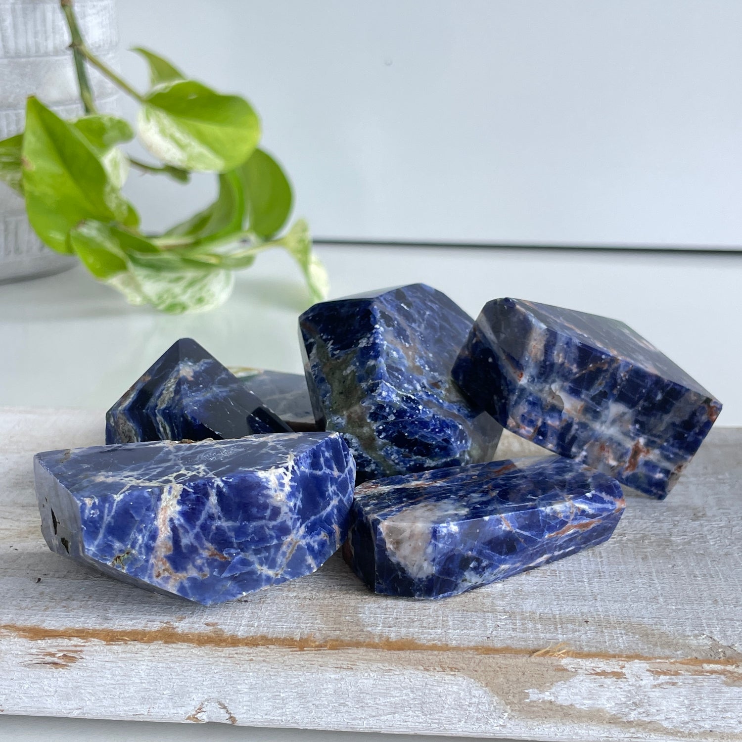 Sodalite Freeform Sml Assorted
