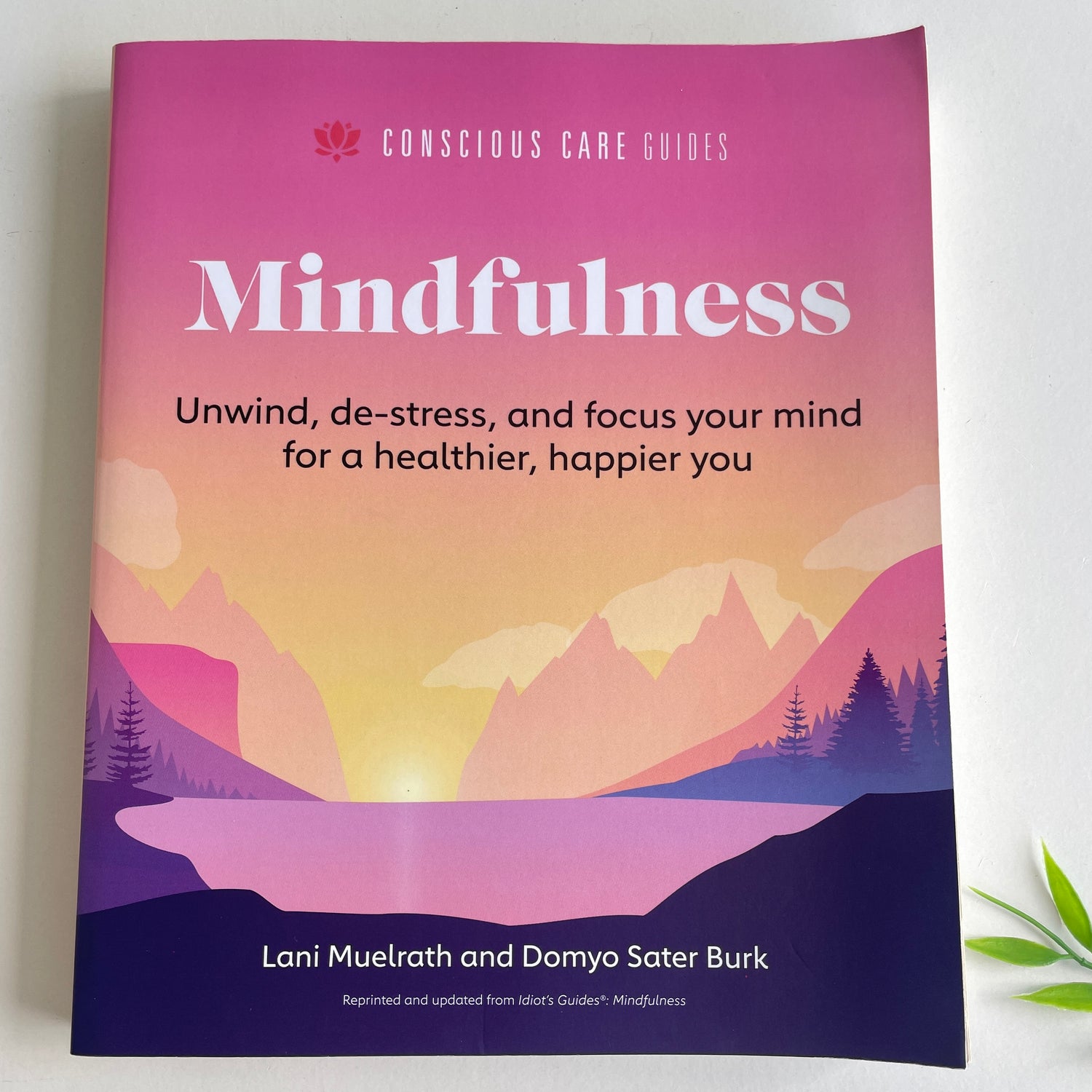 Mindfulness Lani Muerlrath Domyo Sater Burk