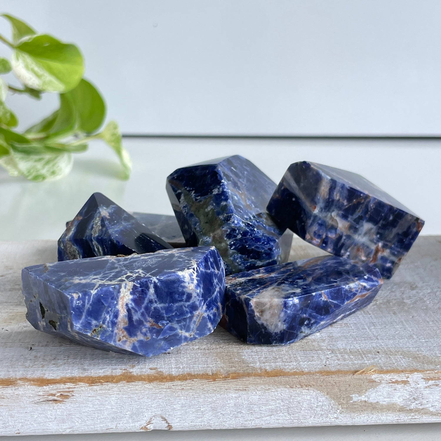 Sodalite Freeform Sml Assorted