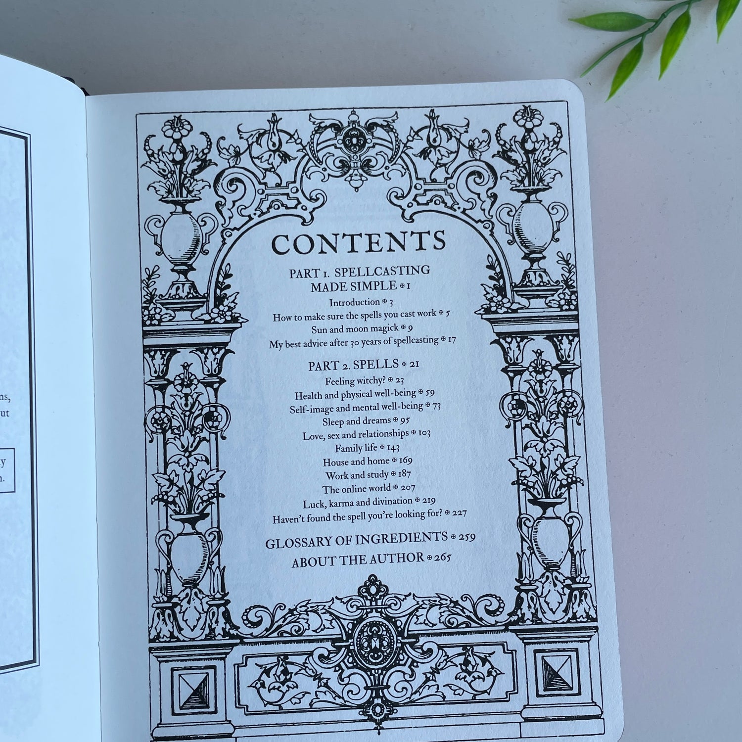 Lost Book Of Spells Fiona Horne