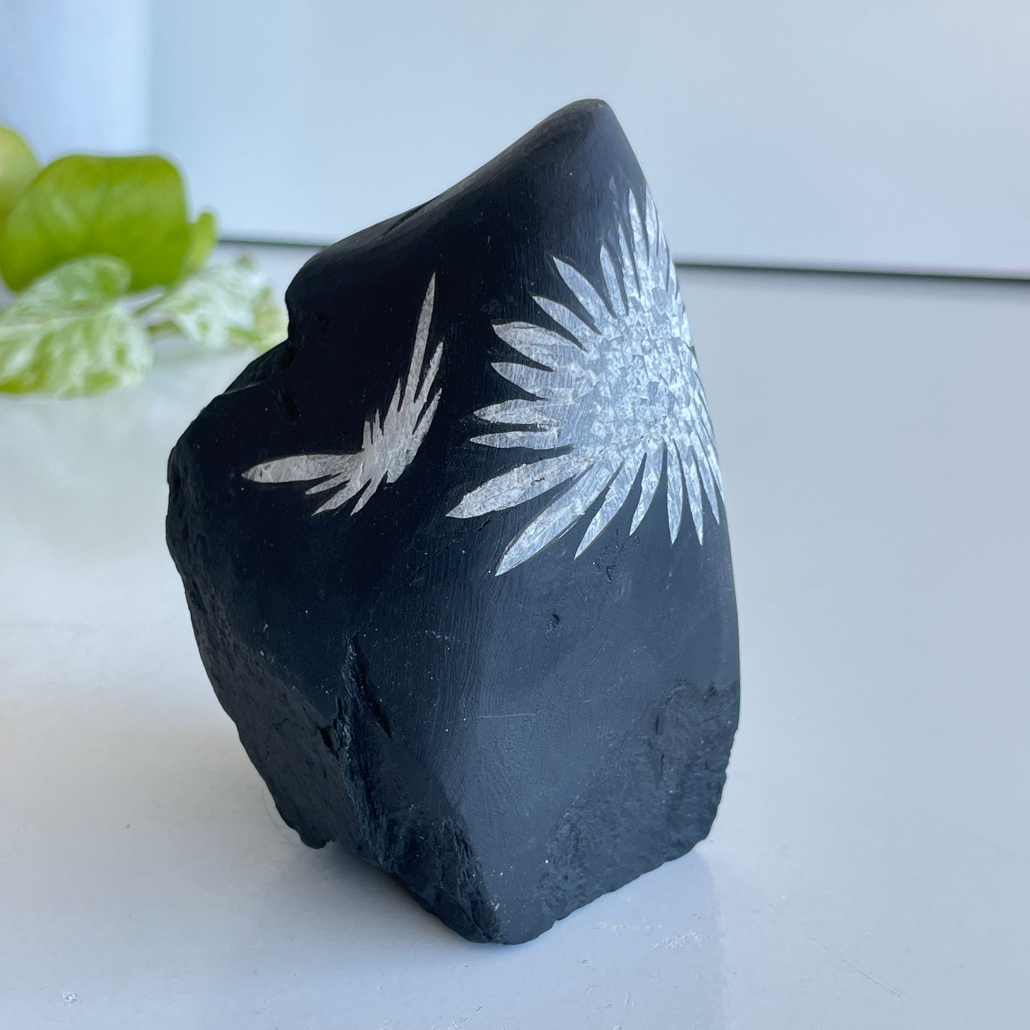 Chrysanthemum Stone 554g