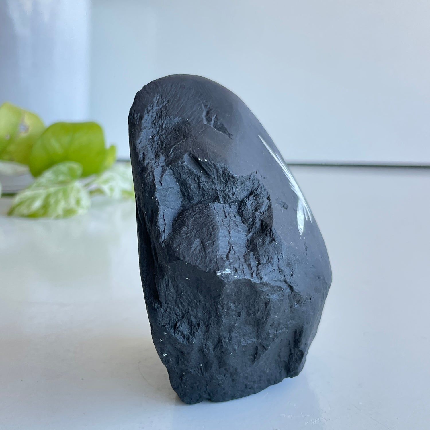 Chrysanthemum Stone 554g