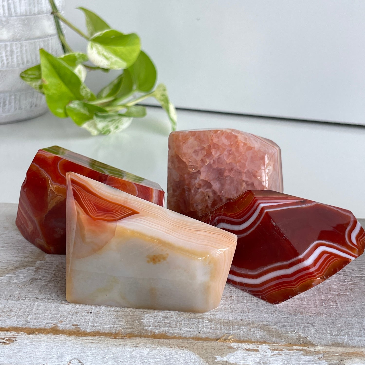 Carnelian Freeform Lge