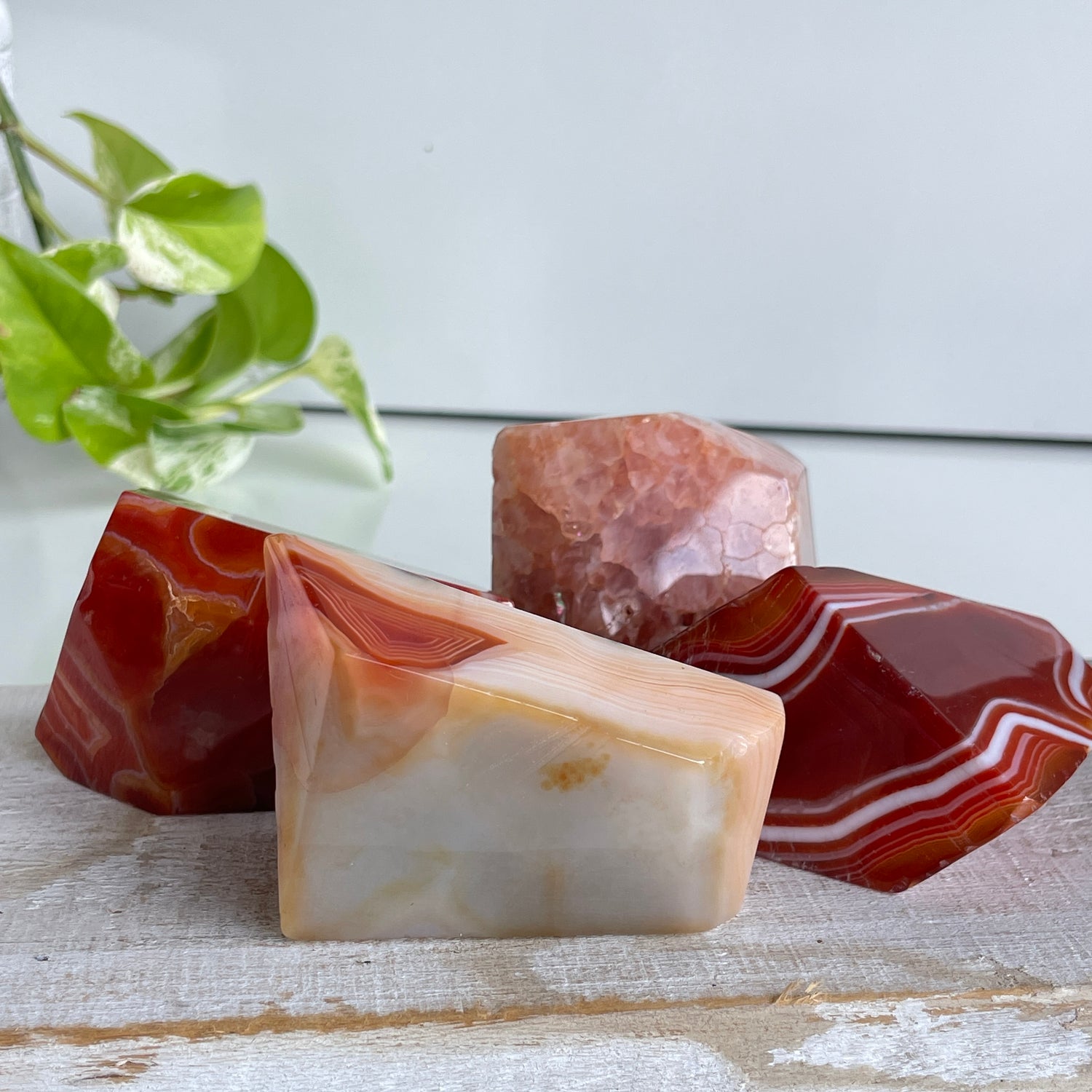 Carnelian Freeform Lge
