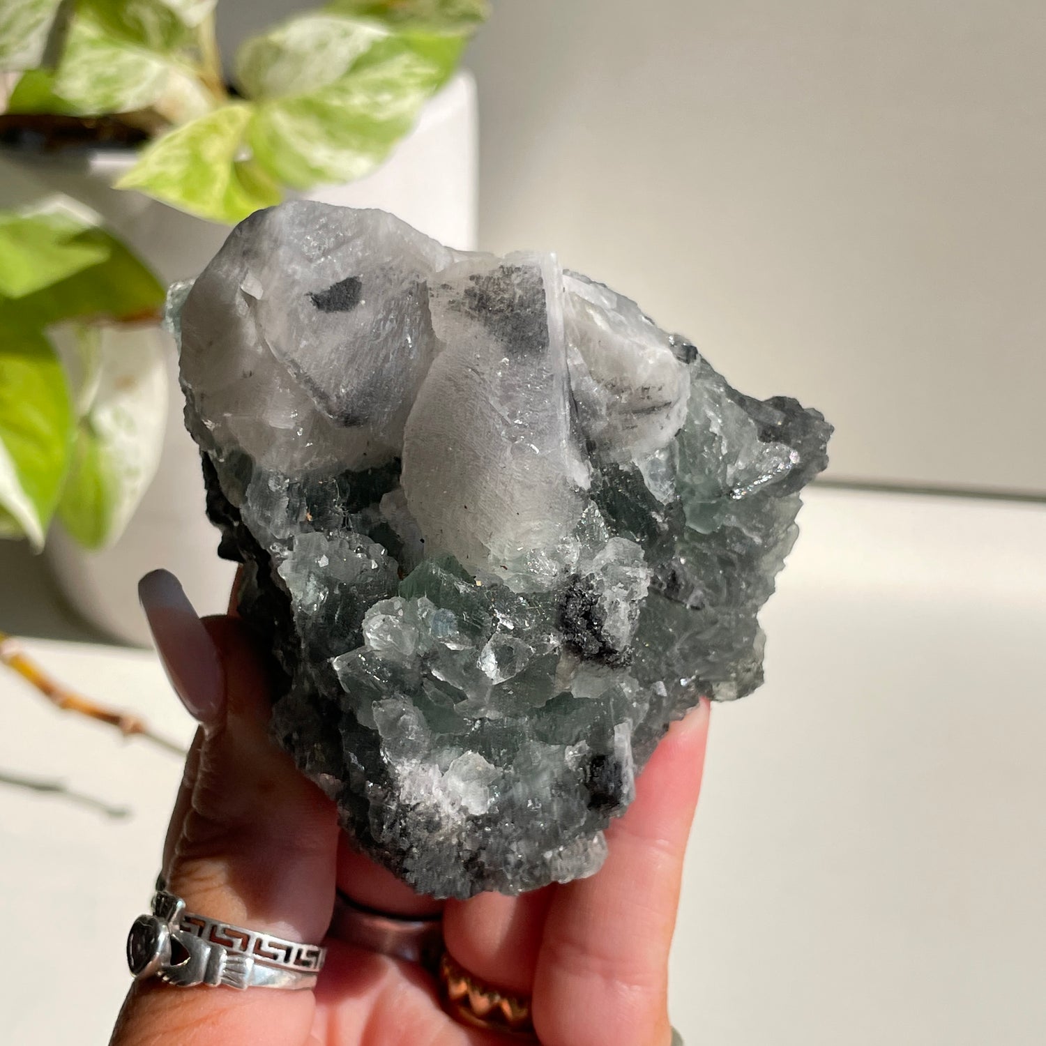Fluorite Cluster 284g