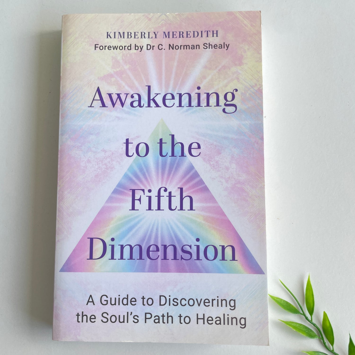 Awakening To The Fifth Dimension Kimberly Meredith