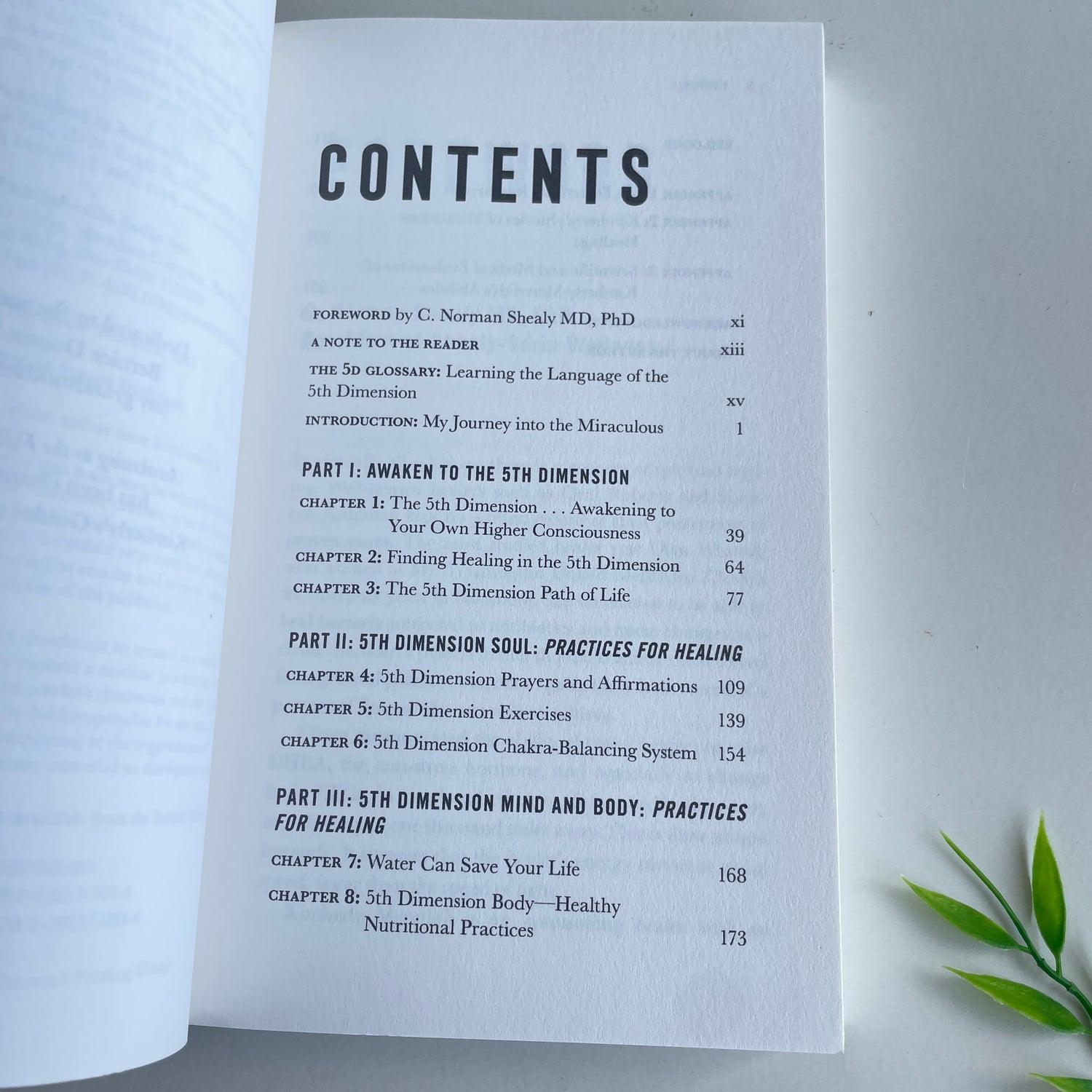 Awakening To The Fifth Dimension Kimberly Meredith