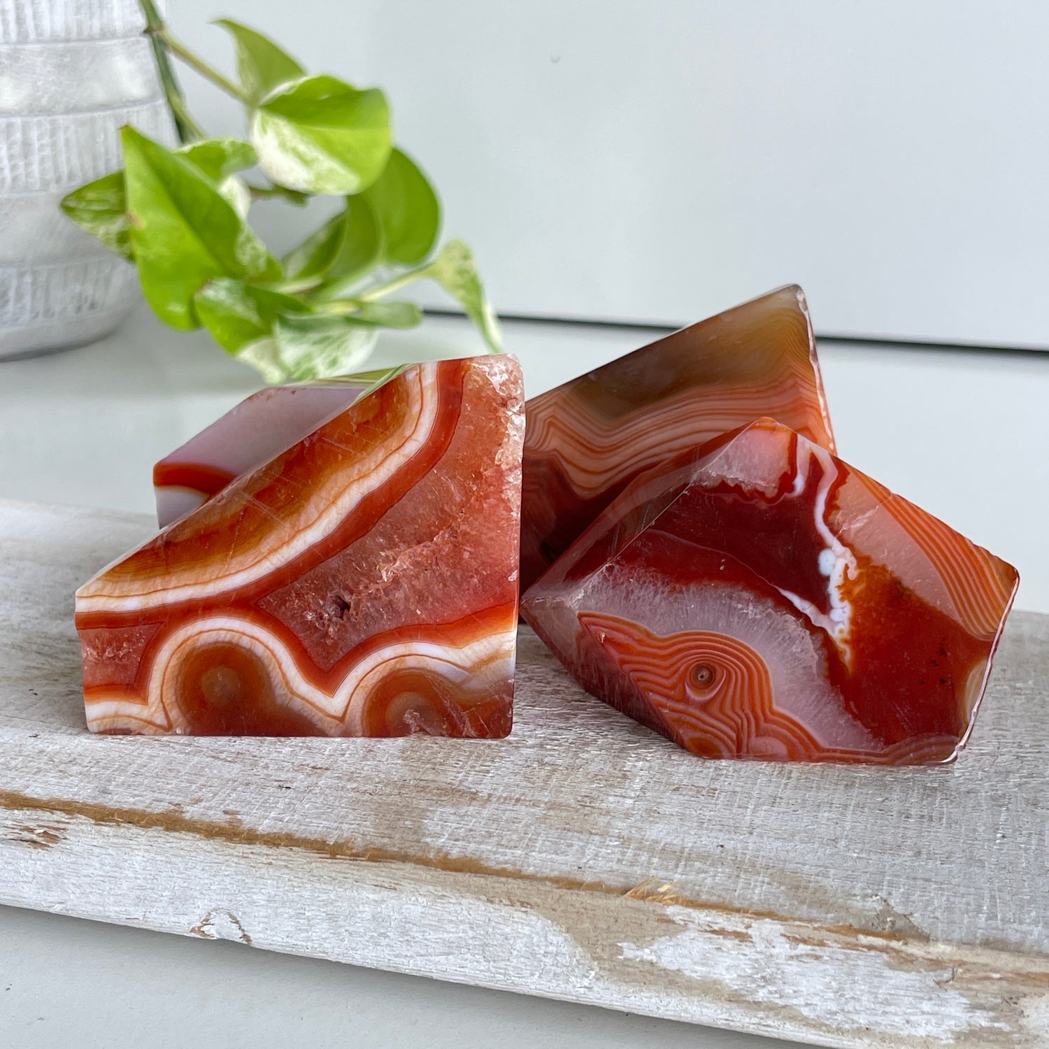 Carnelian Freeform Med