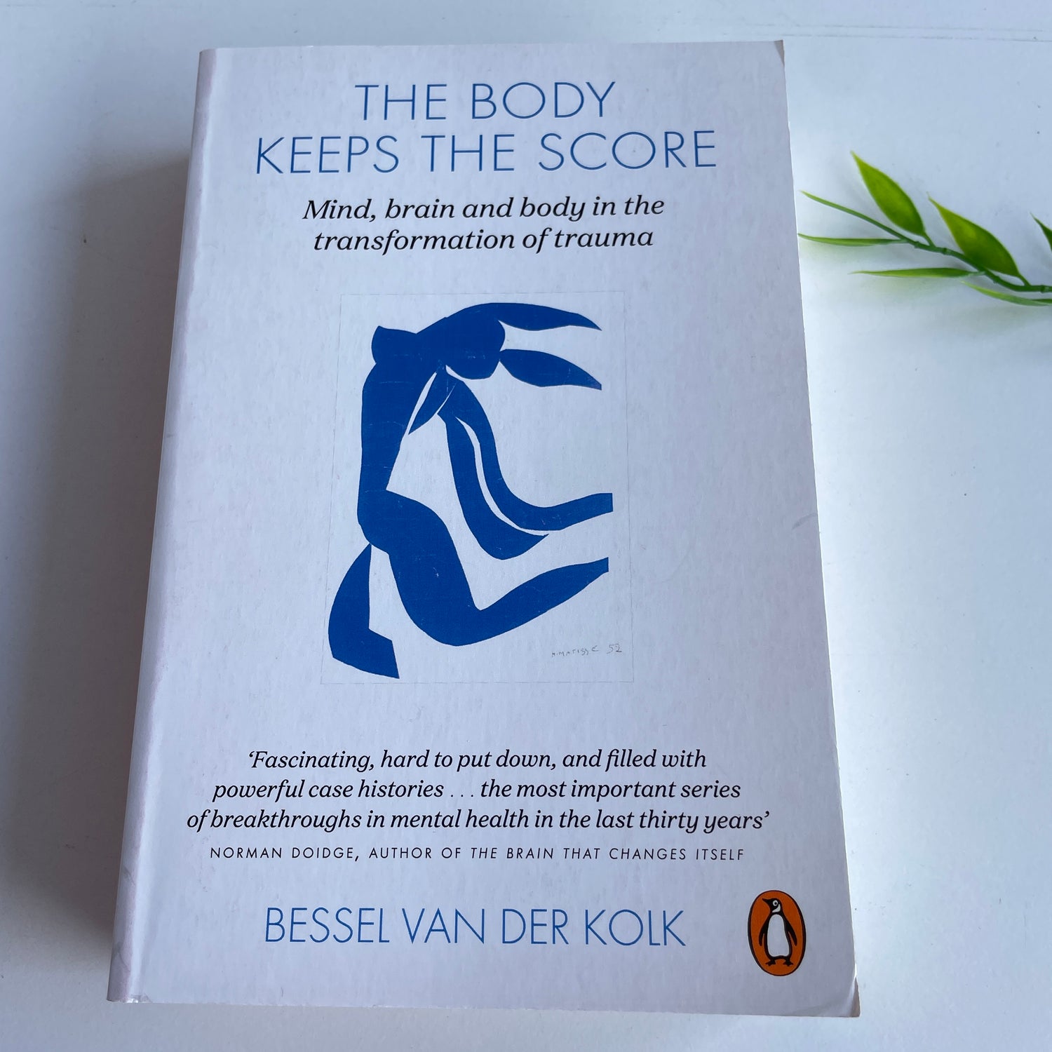 The Body Keeps The Score Bessel Van Der Kolk