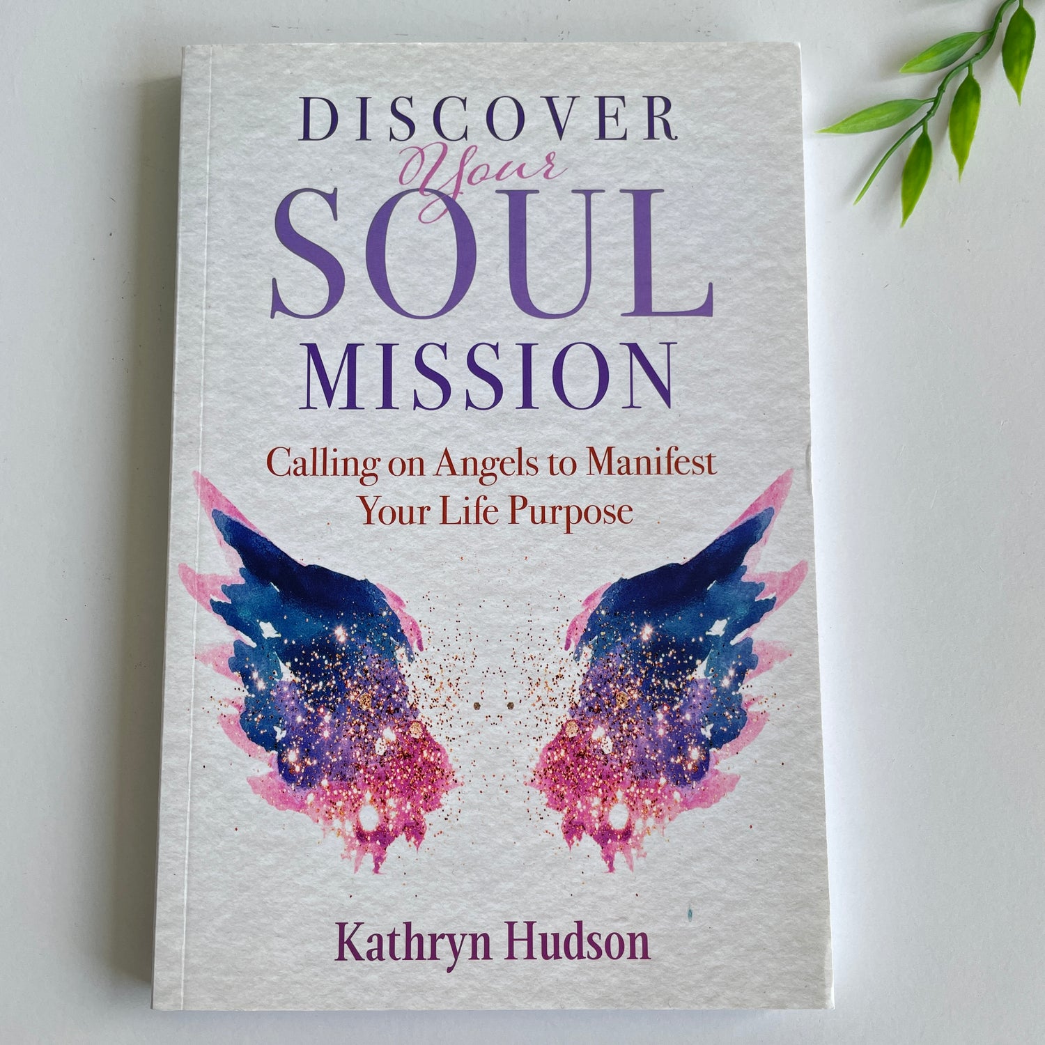 Discover Your Soul Mission Kathryn Hudson