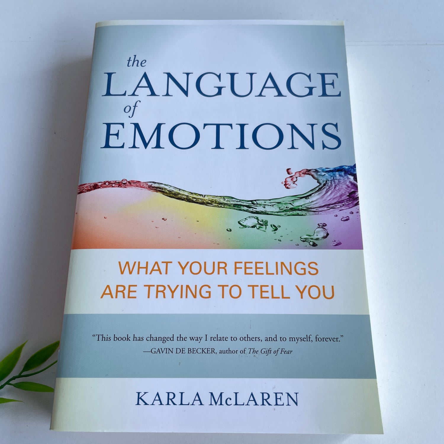 The Language Of Emotions Karla McLaren