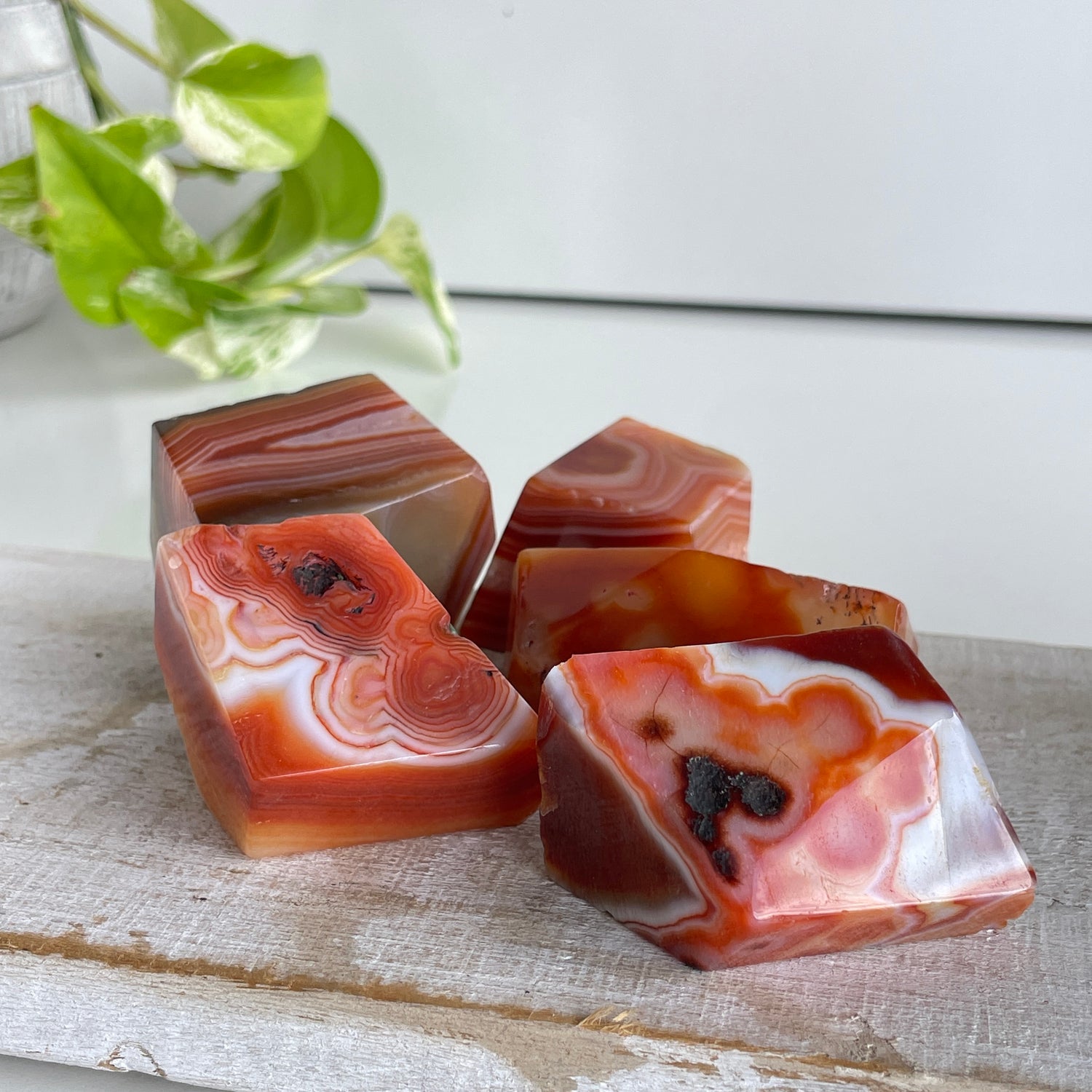Carnelian Freeform Sml