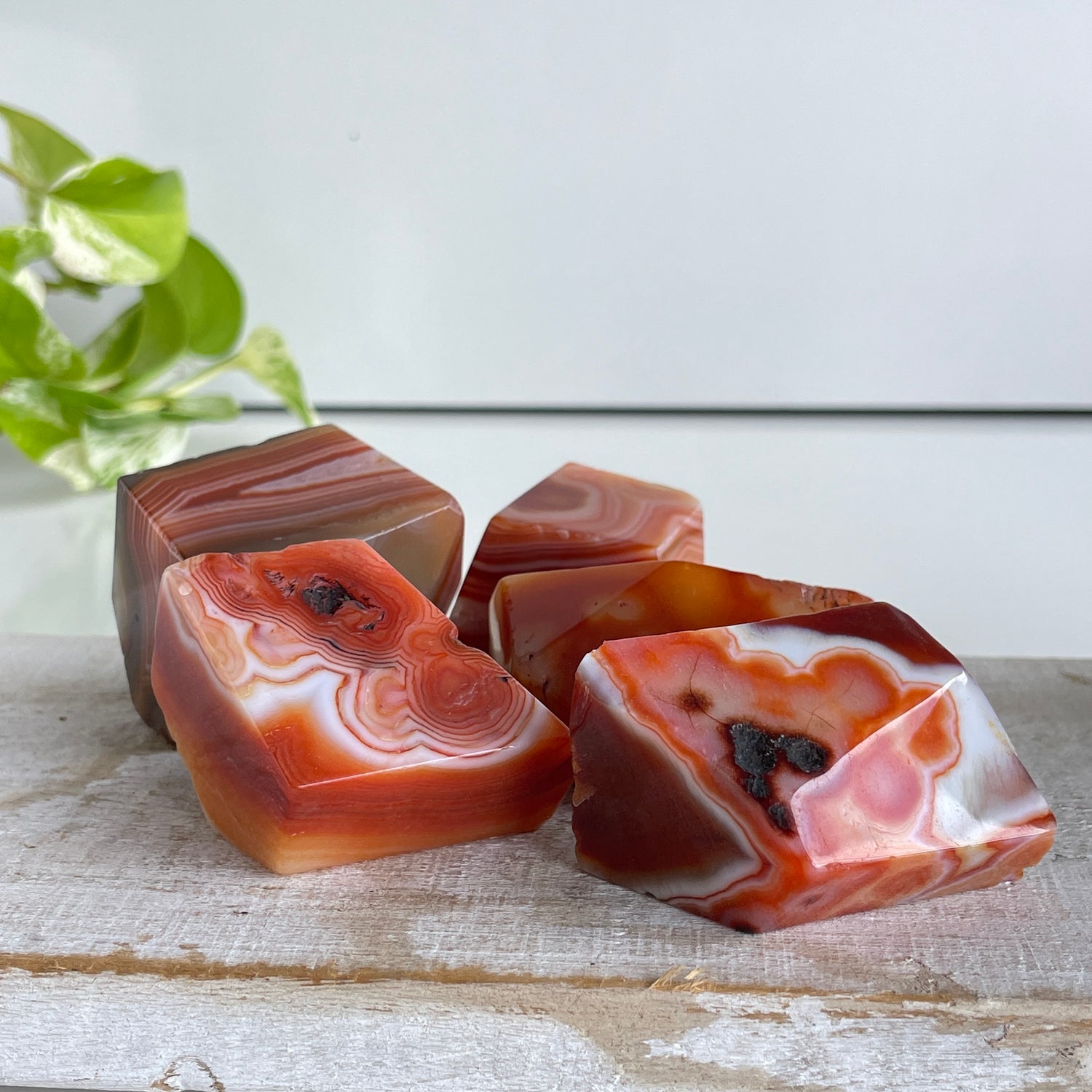 Carnelian Freeform Sml