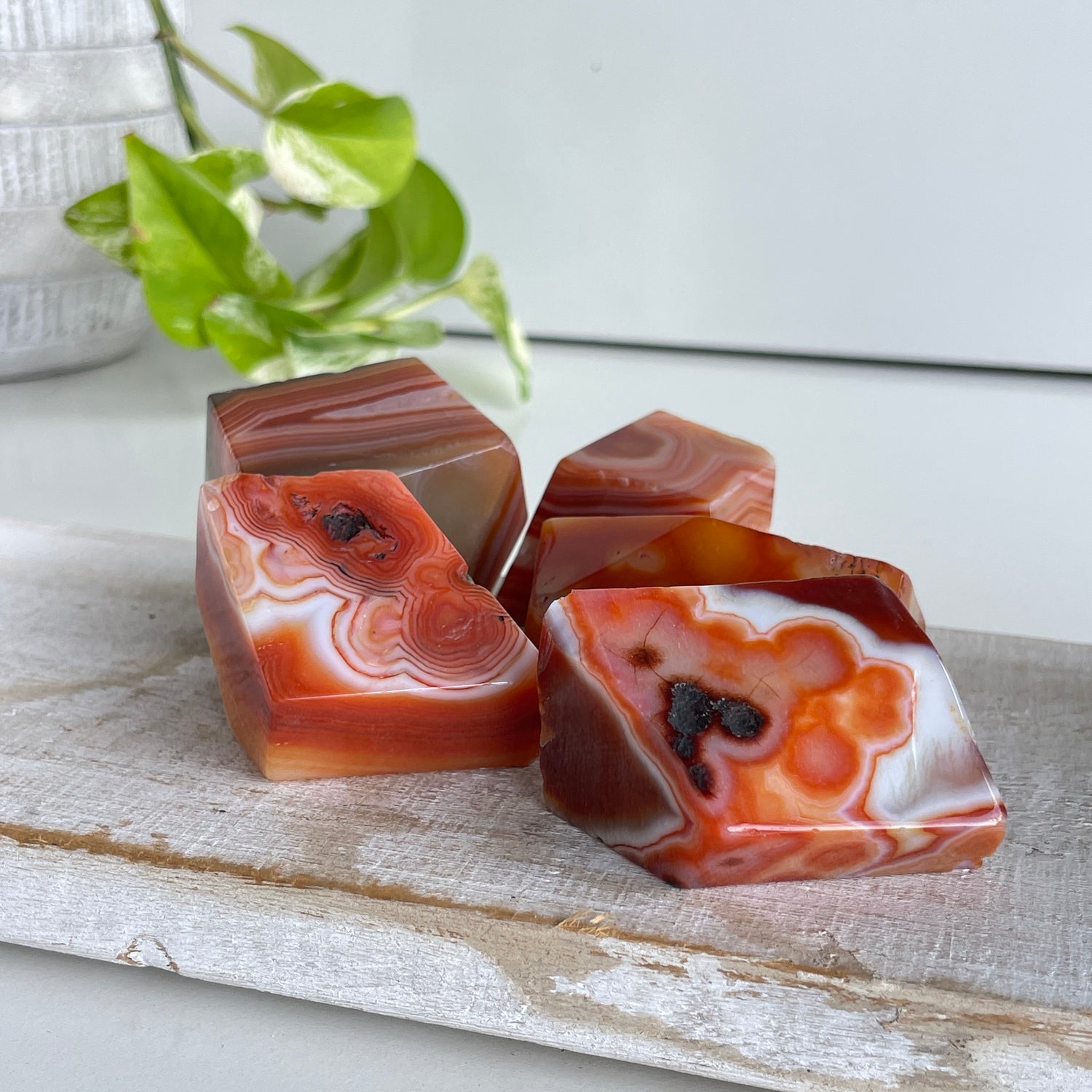 Carnelian Freeform Sml