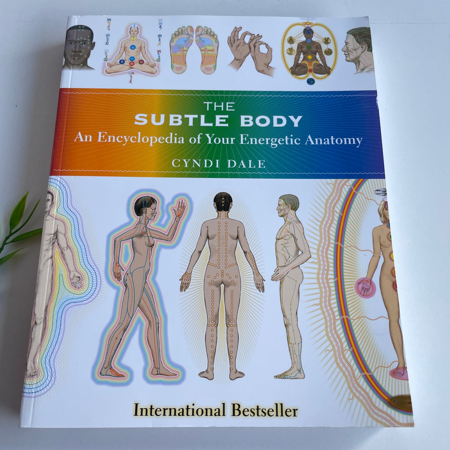 The Subtle Body Cyndi Dale