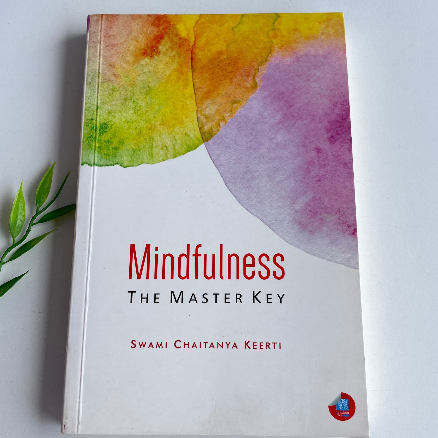 Mindfulness The Master Key Swami Chaitanya Keerti