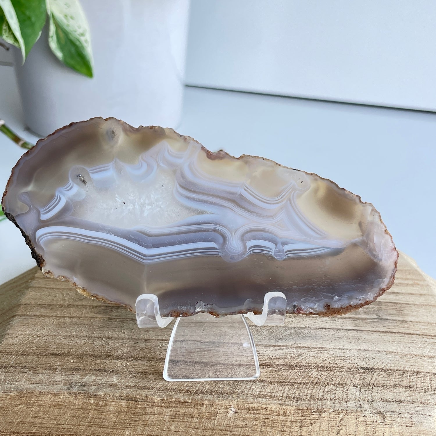 Iris Agate Slice 106g