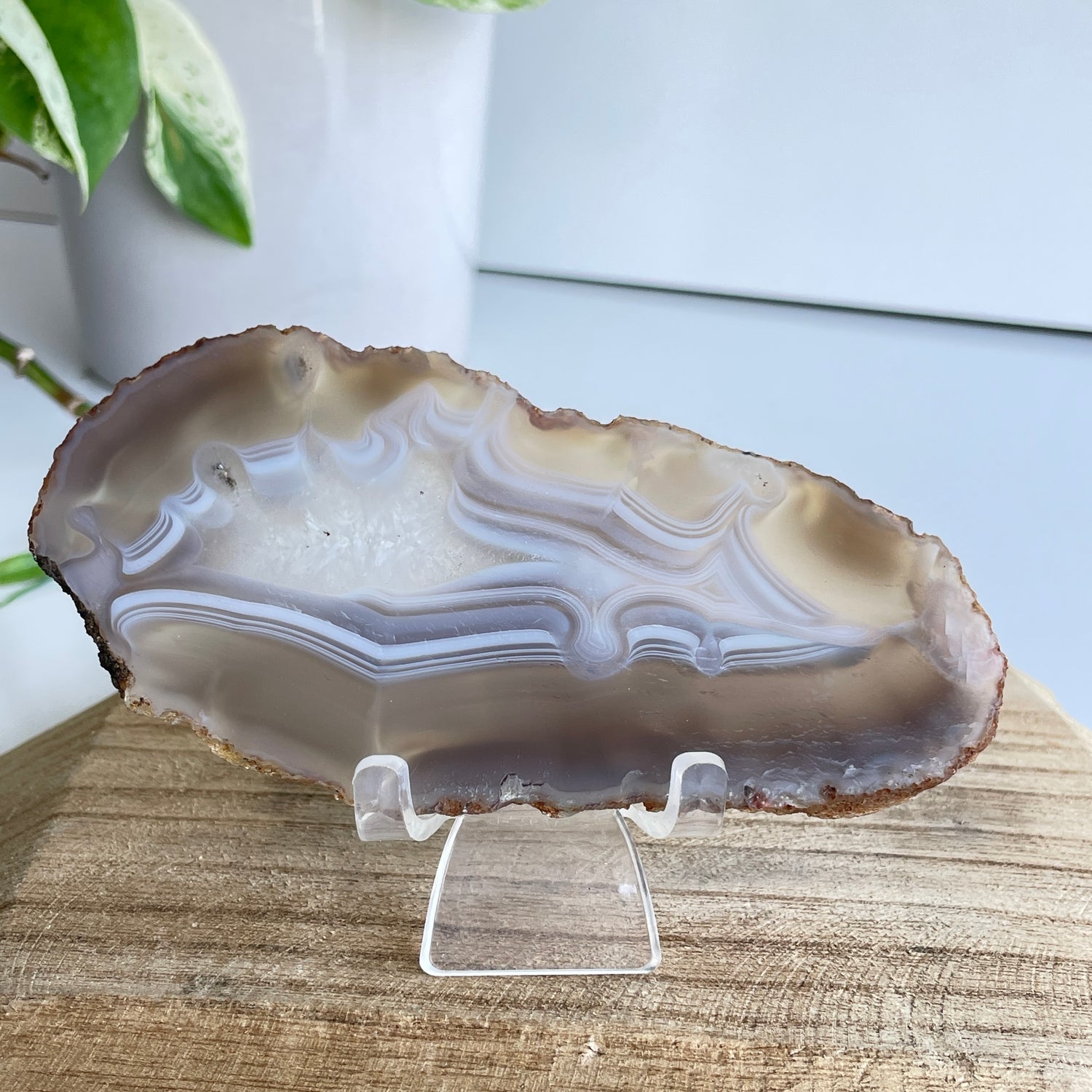 Iris Agate Slice 106g