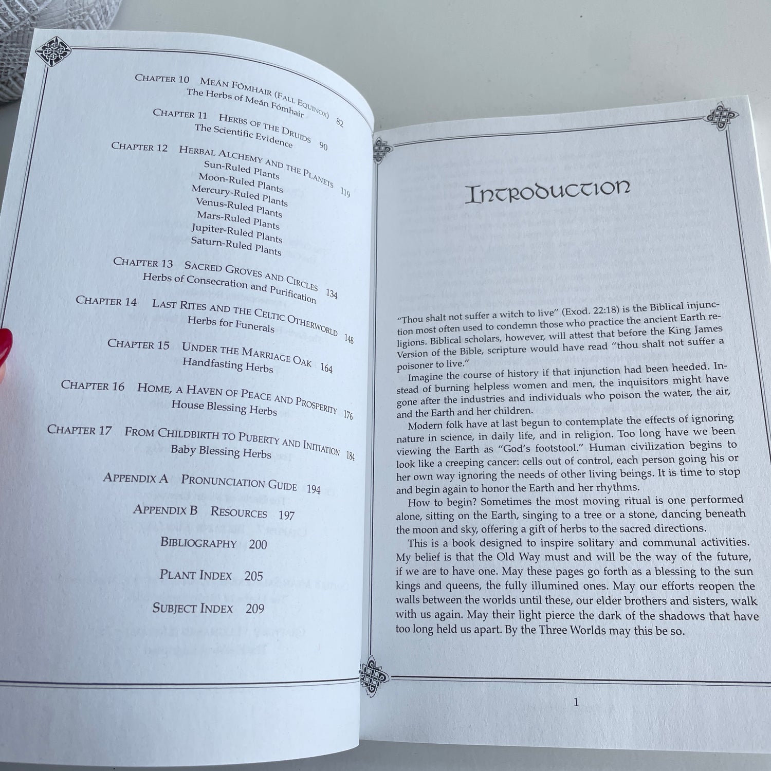 A Druids Herbal For The Sacred Earth Year EllenEvert Hopman