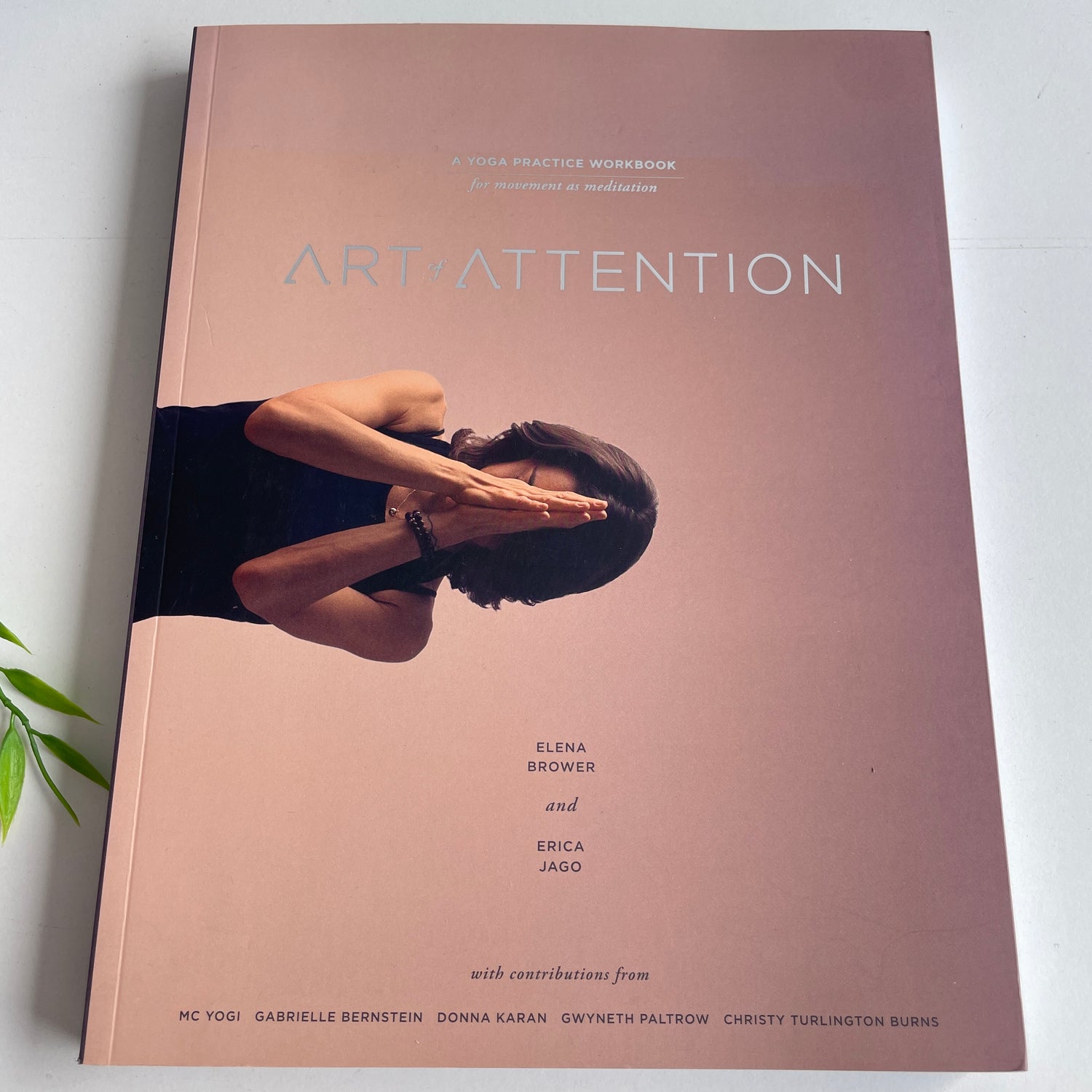 Art Of Attention Elena Brower