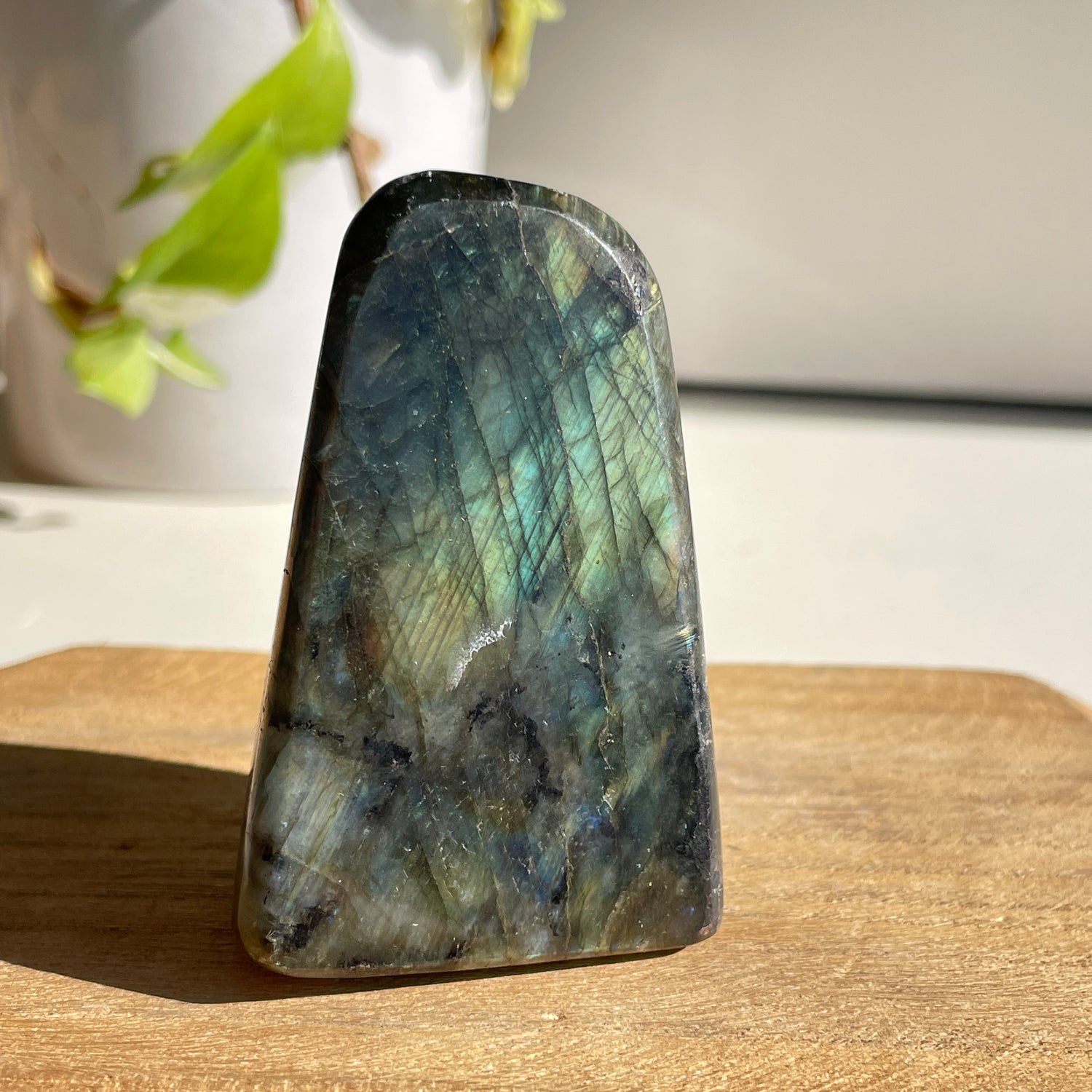 Labradorite Freeform 194g