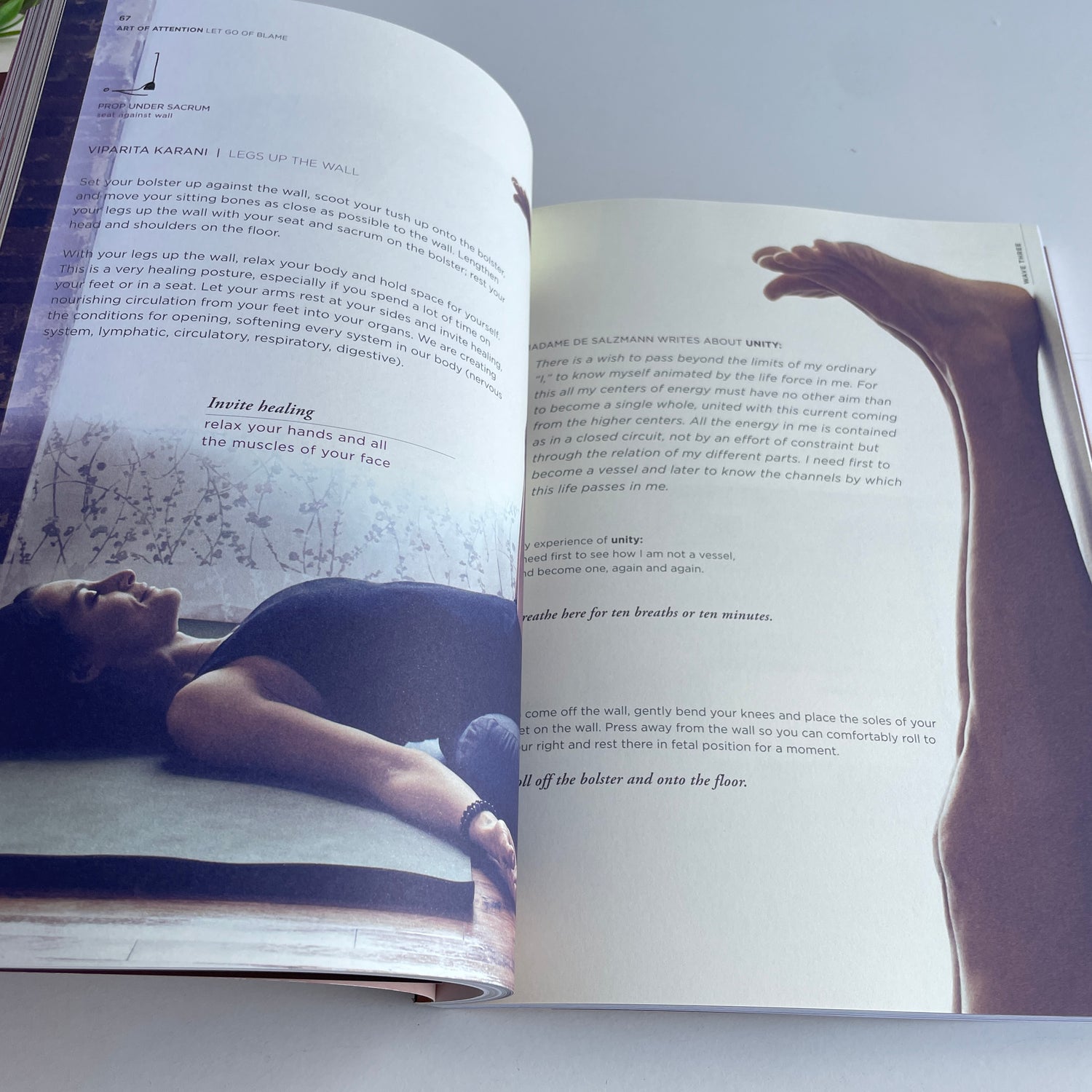Art Of Attention Elena Brower