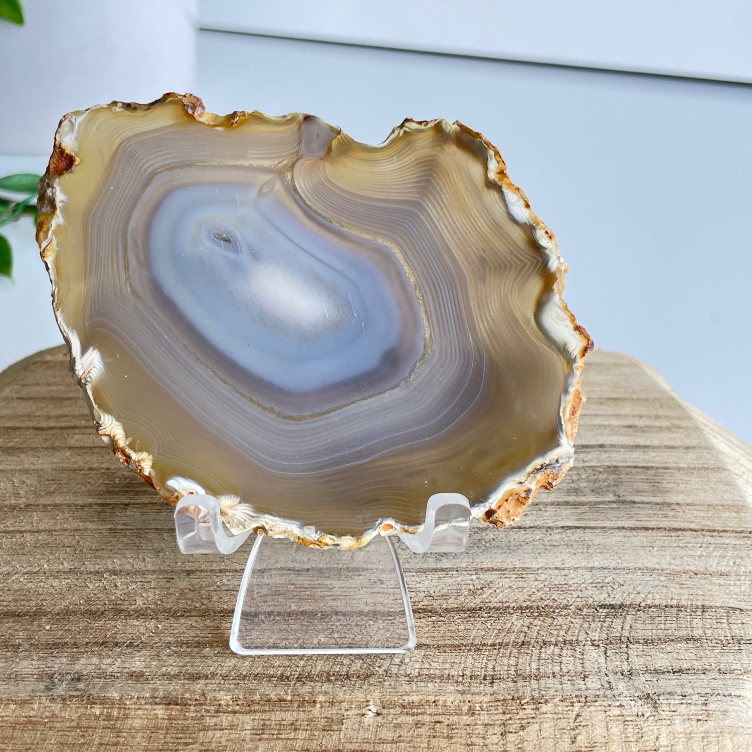 Iris Agate Slice 82g