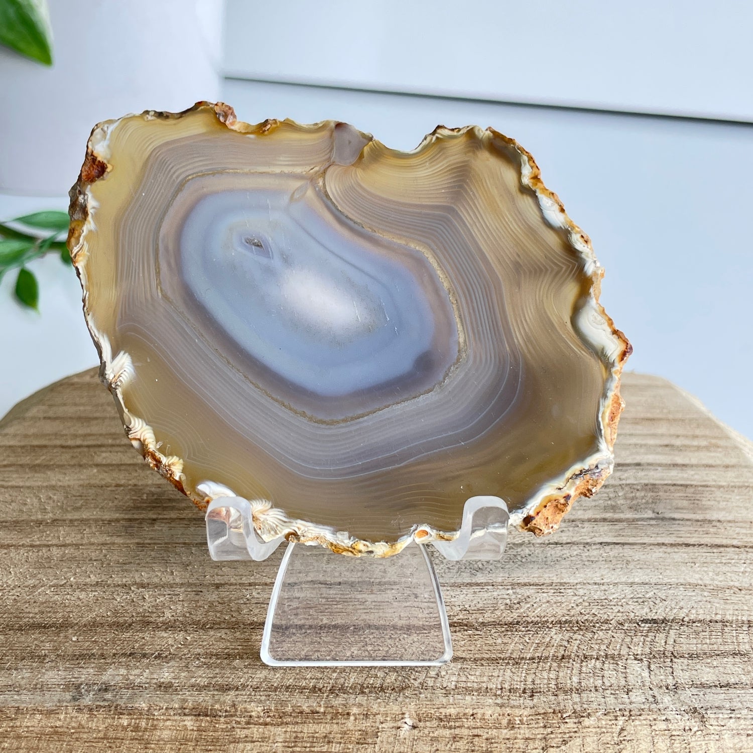 Iris Agate Slice 82g