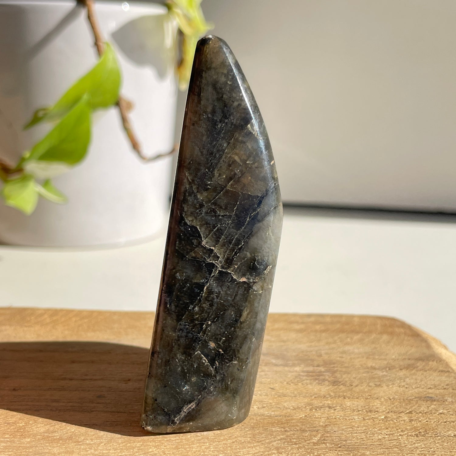 Labradorite Freeform 156g