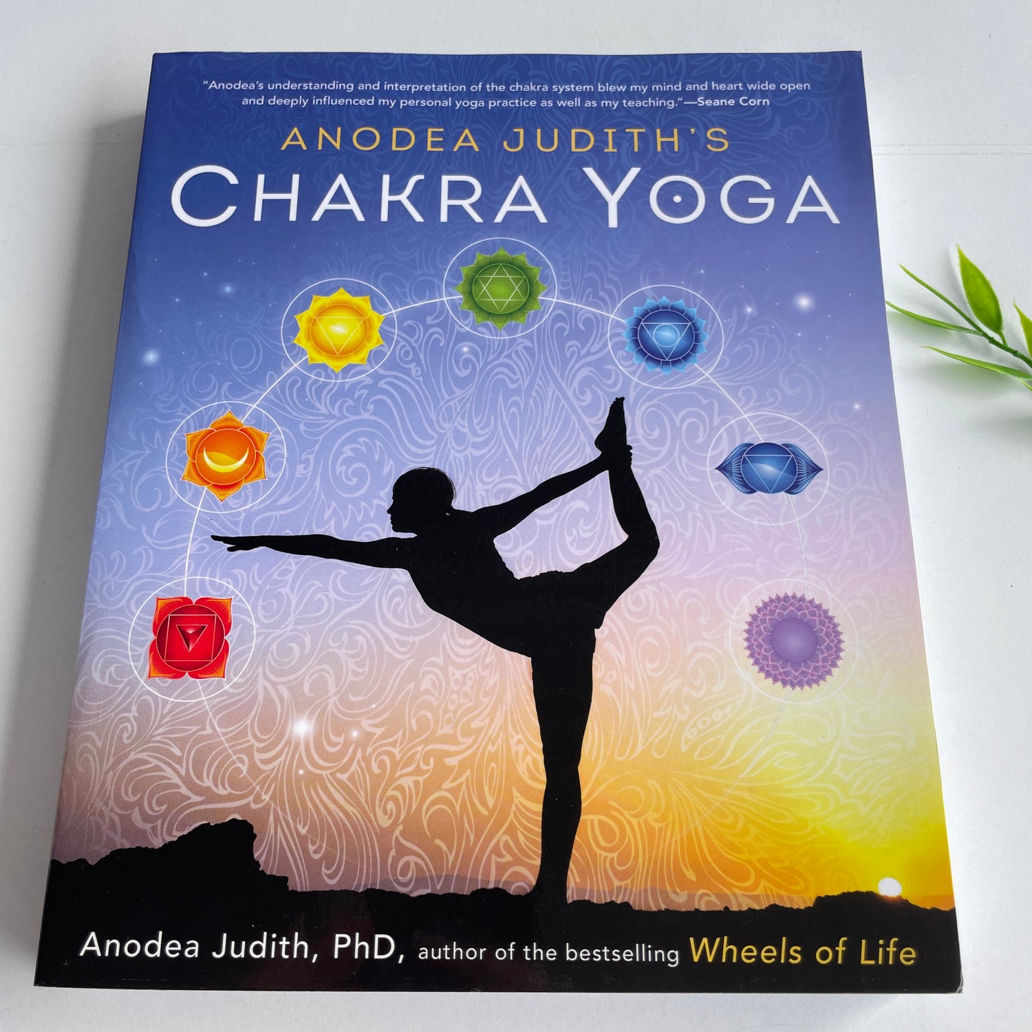 A. Judith Chakra Yoga