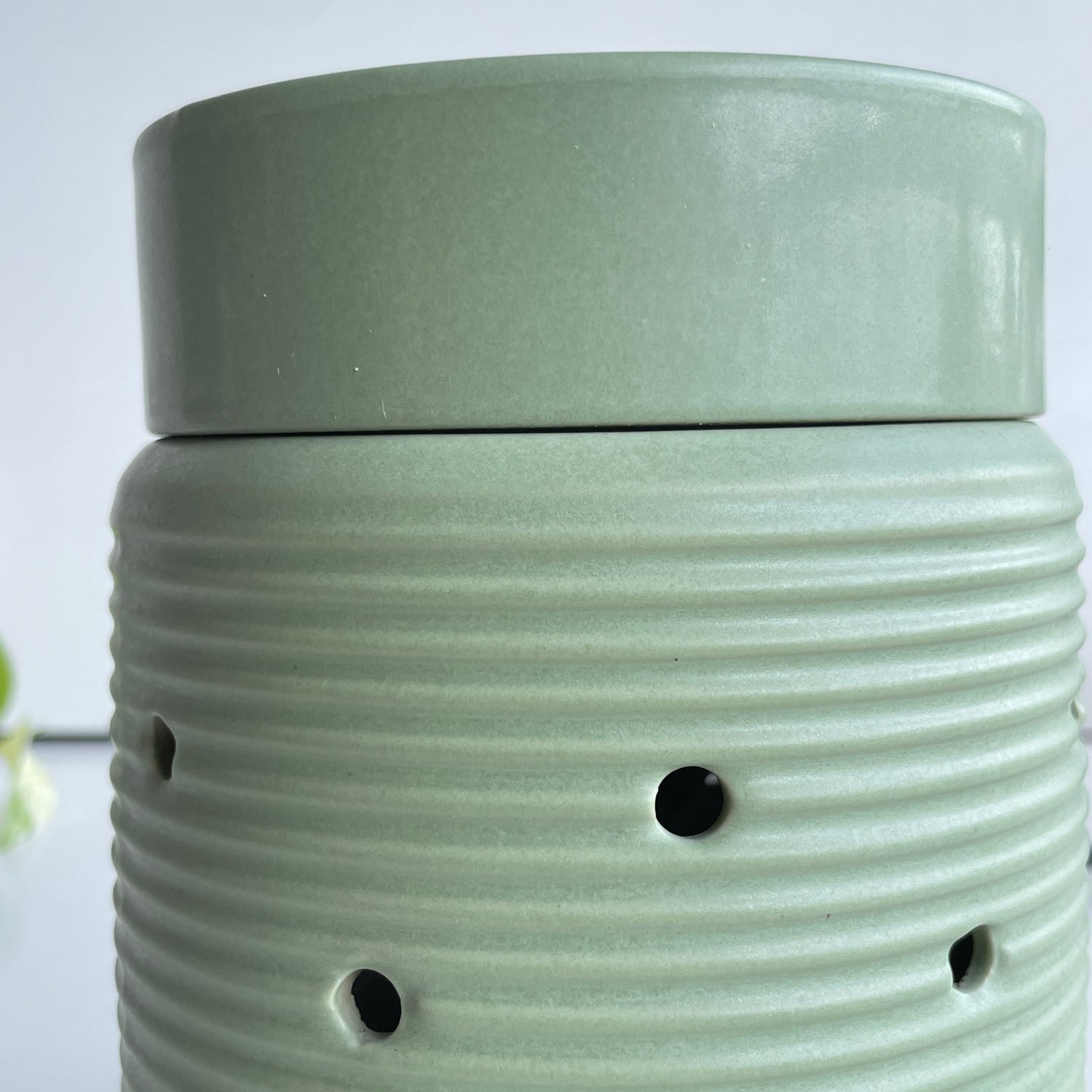 Sage Wood Illumination Warmer