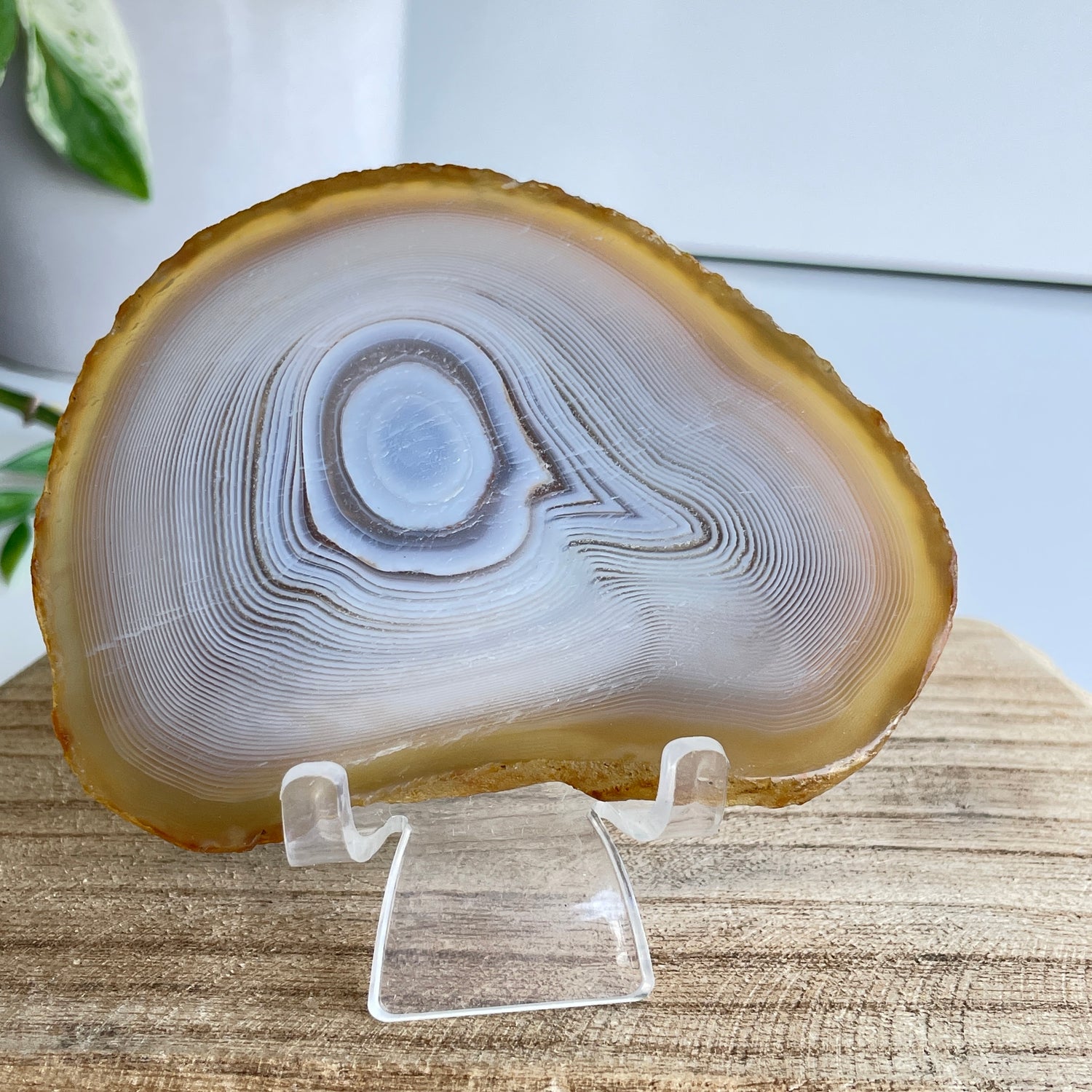 Iris Agate Slice 126g