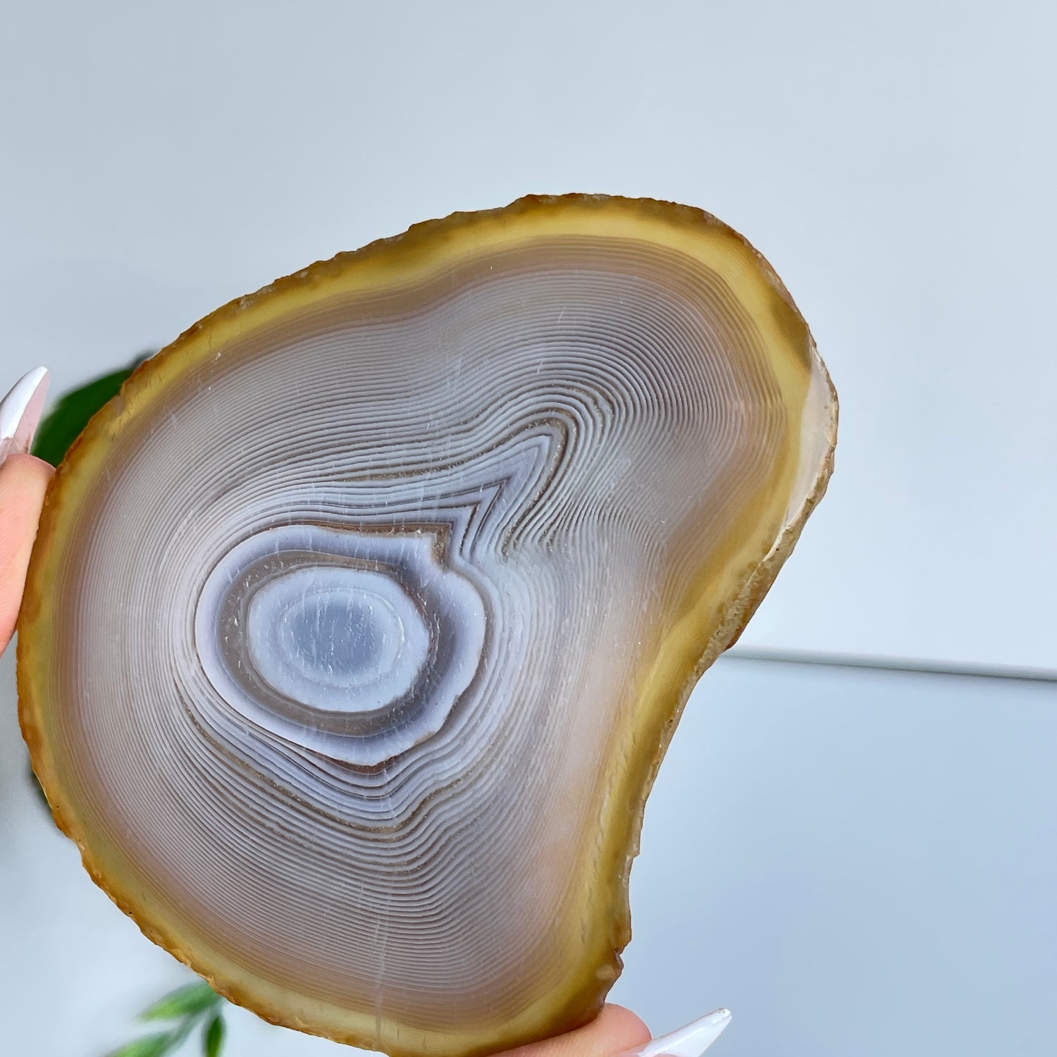 Iris Agate Slice 126g