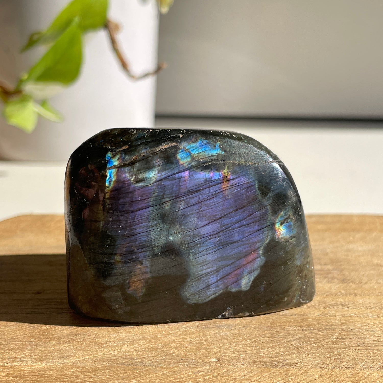 Labradorite Freeform 184g
