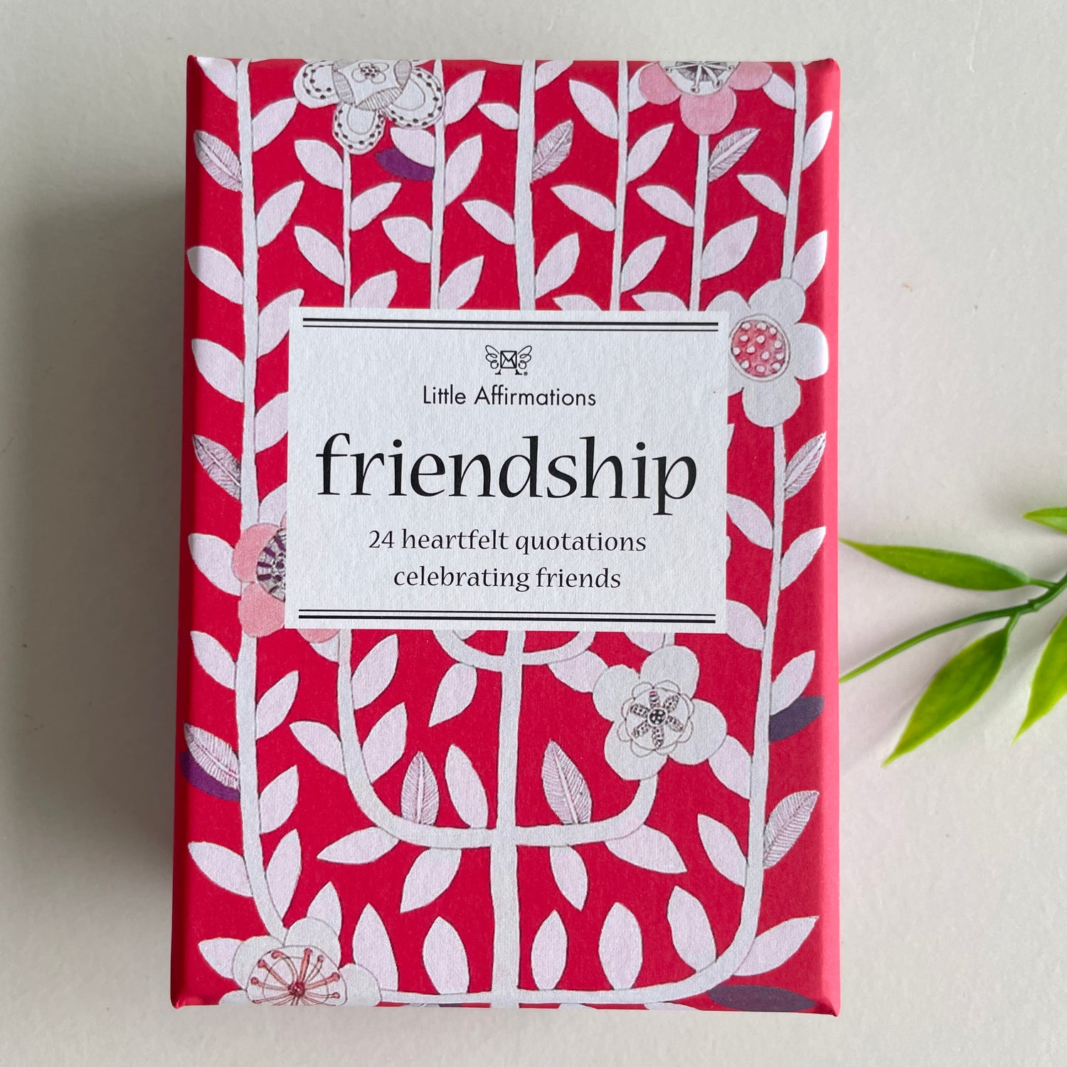 Friendship Little Affirmation Cards DFR