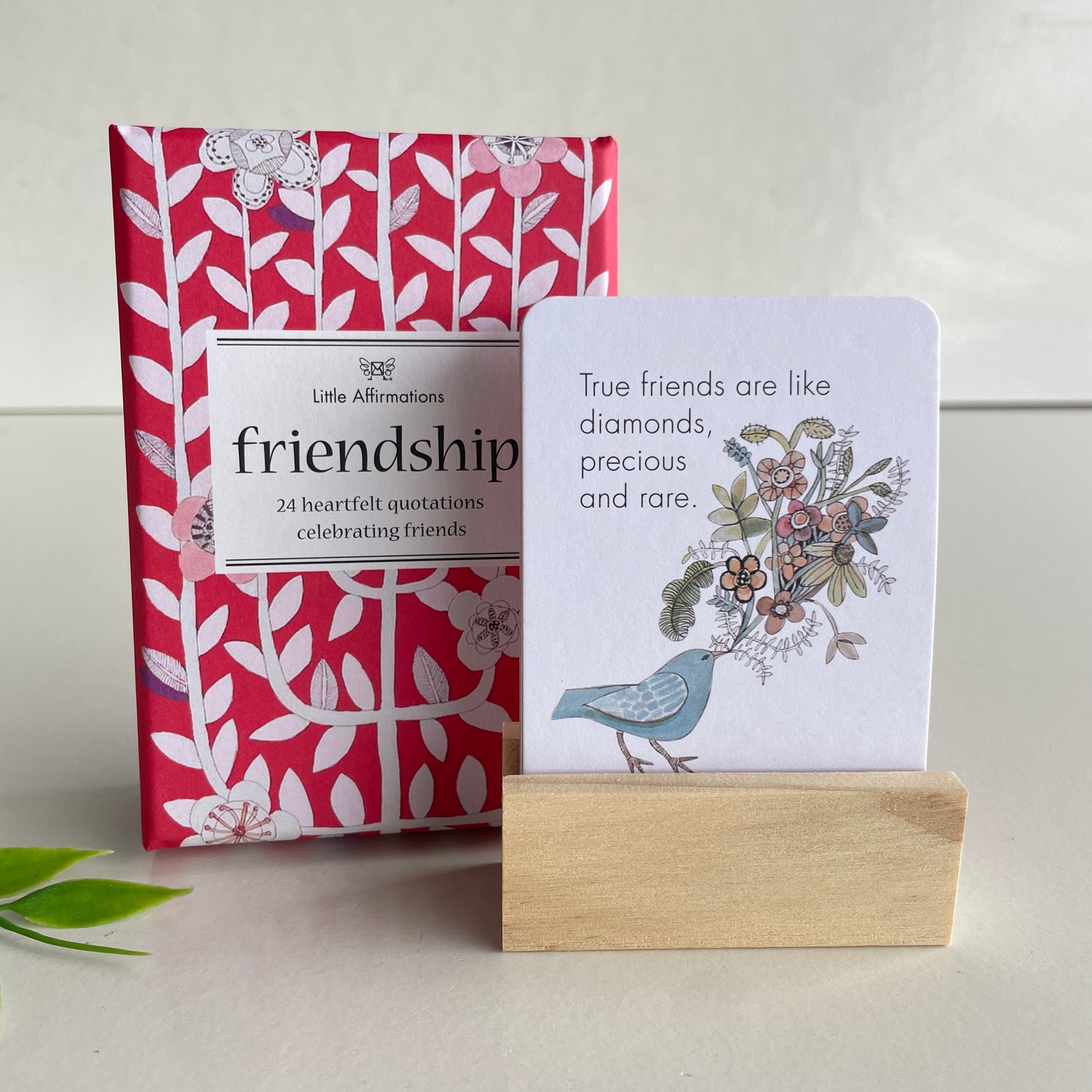 Friendship Little Affirmation Cards DFR