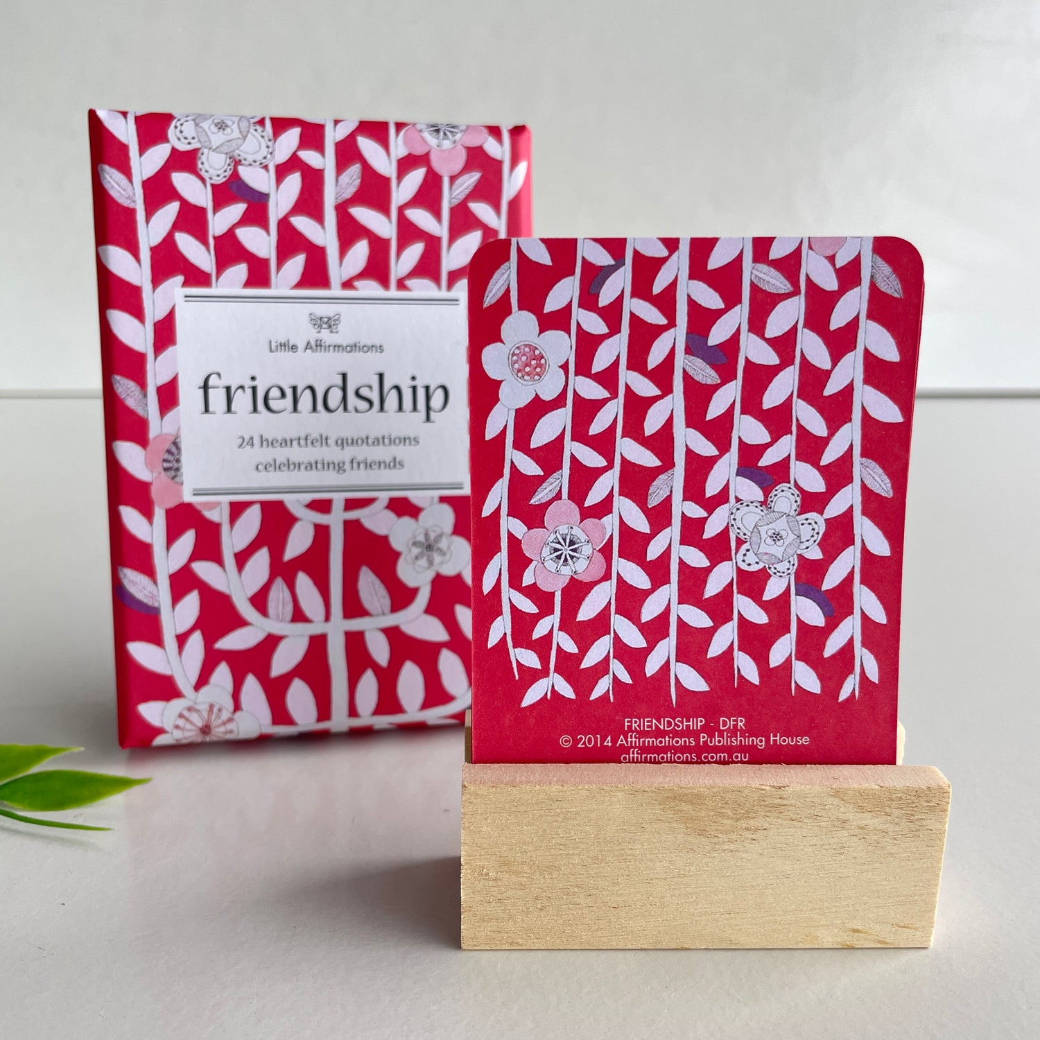 Friendship Little Affirmation Cards DFR