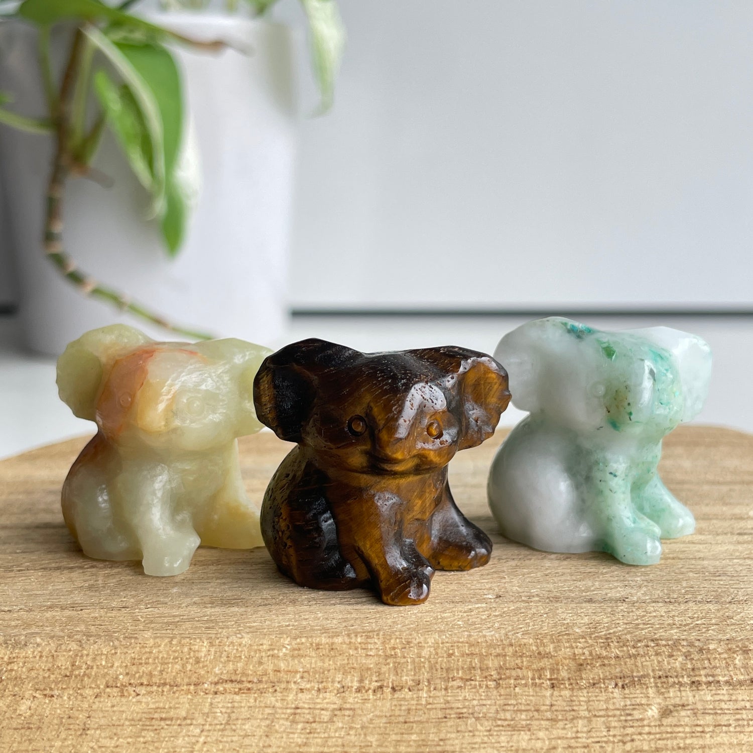 Crystal Koala