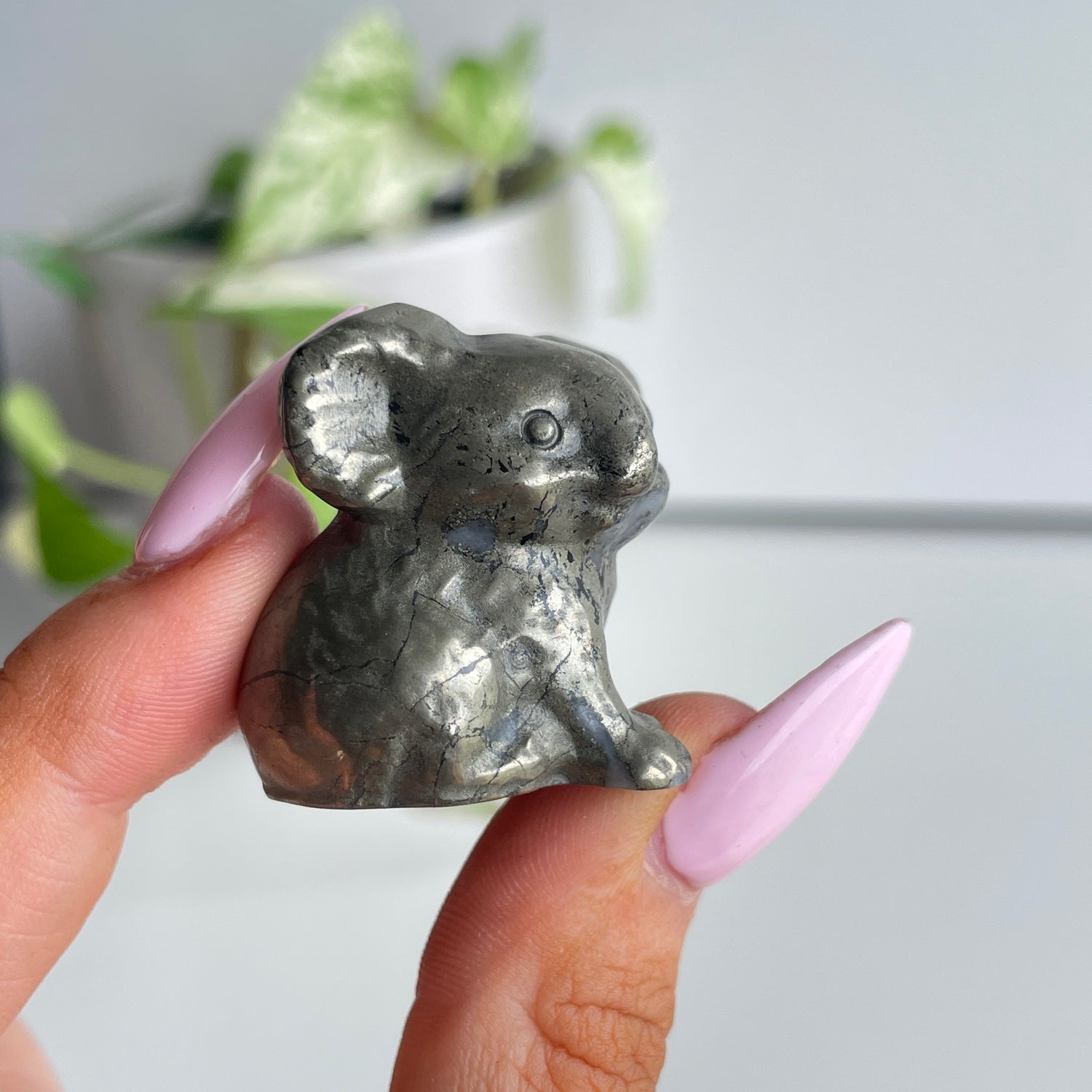 Crystal Koala