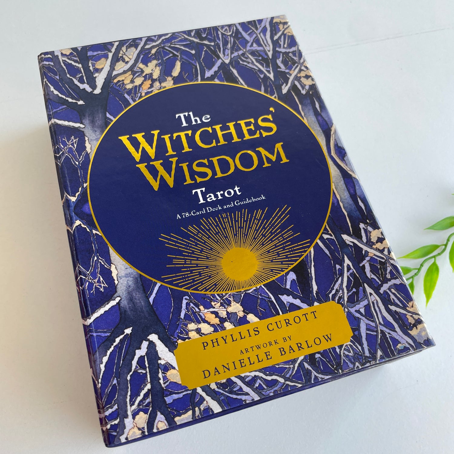 Witches Wisdom Tarot Phyllis Curott