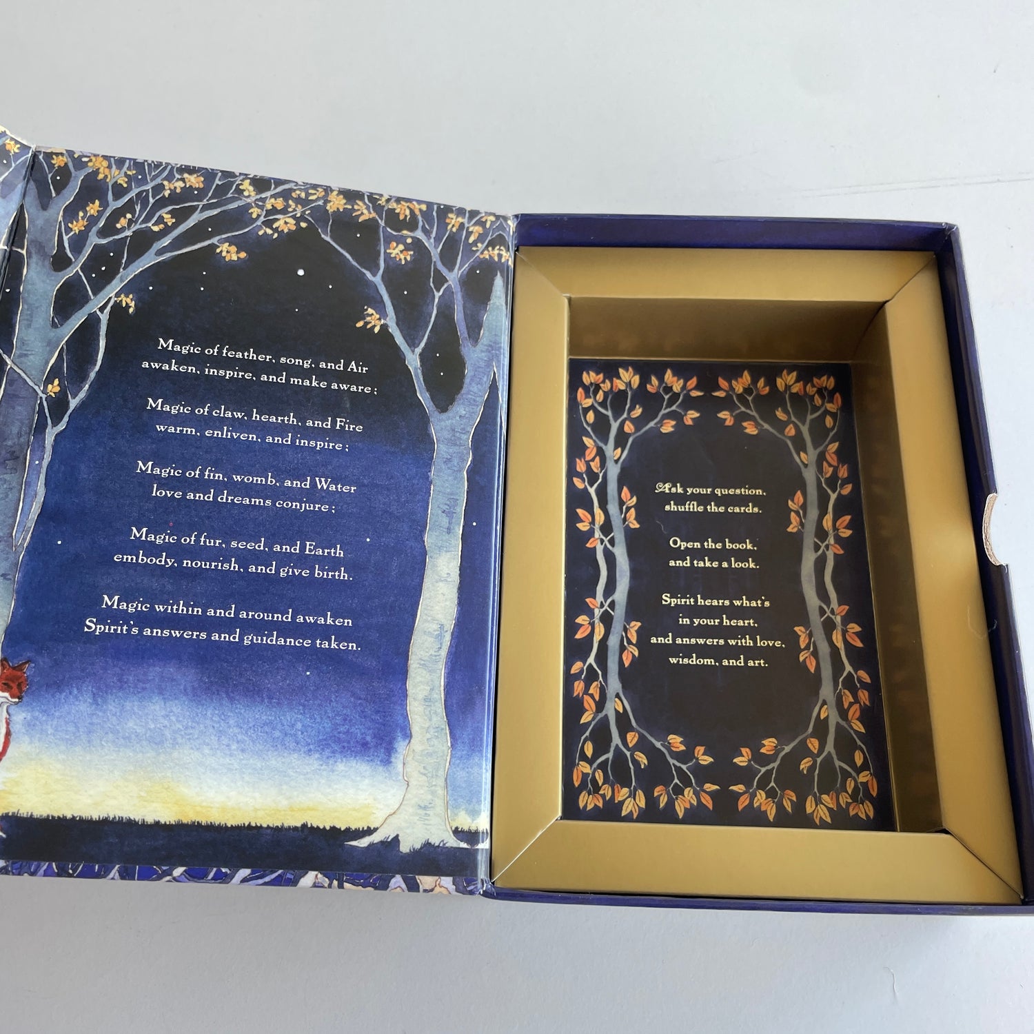 Witches Wisdom Tarot Phyllis Curott