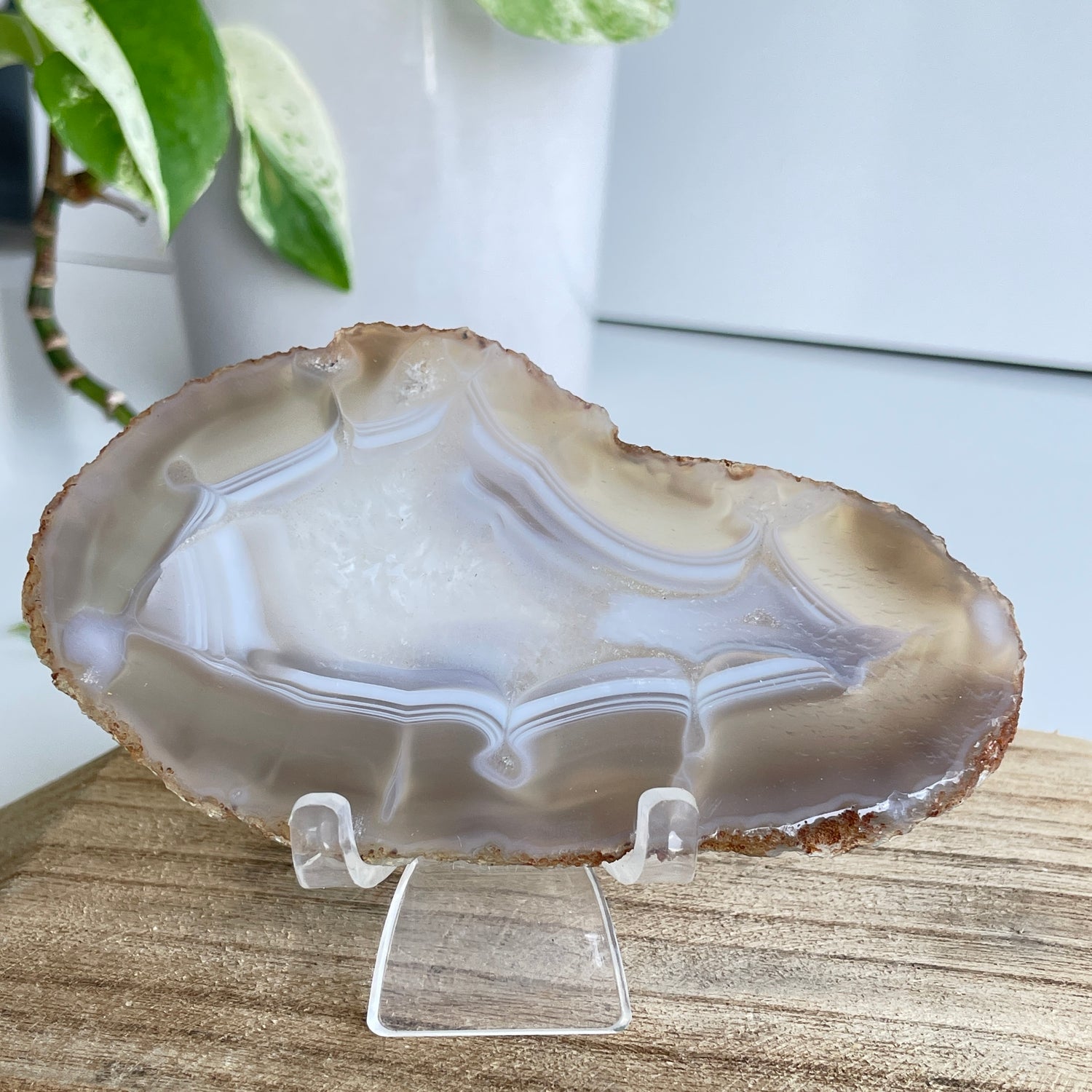 Iris Agate Slice 110g