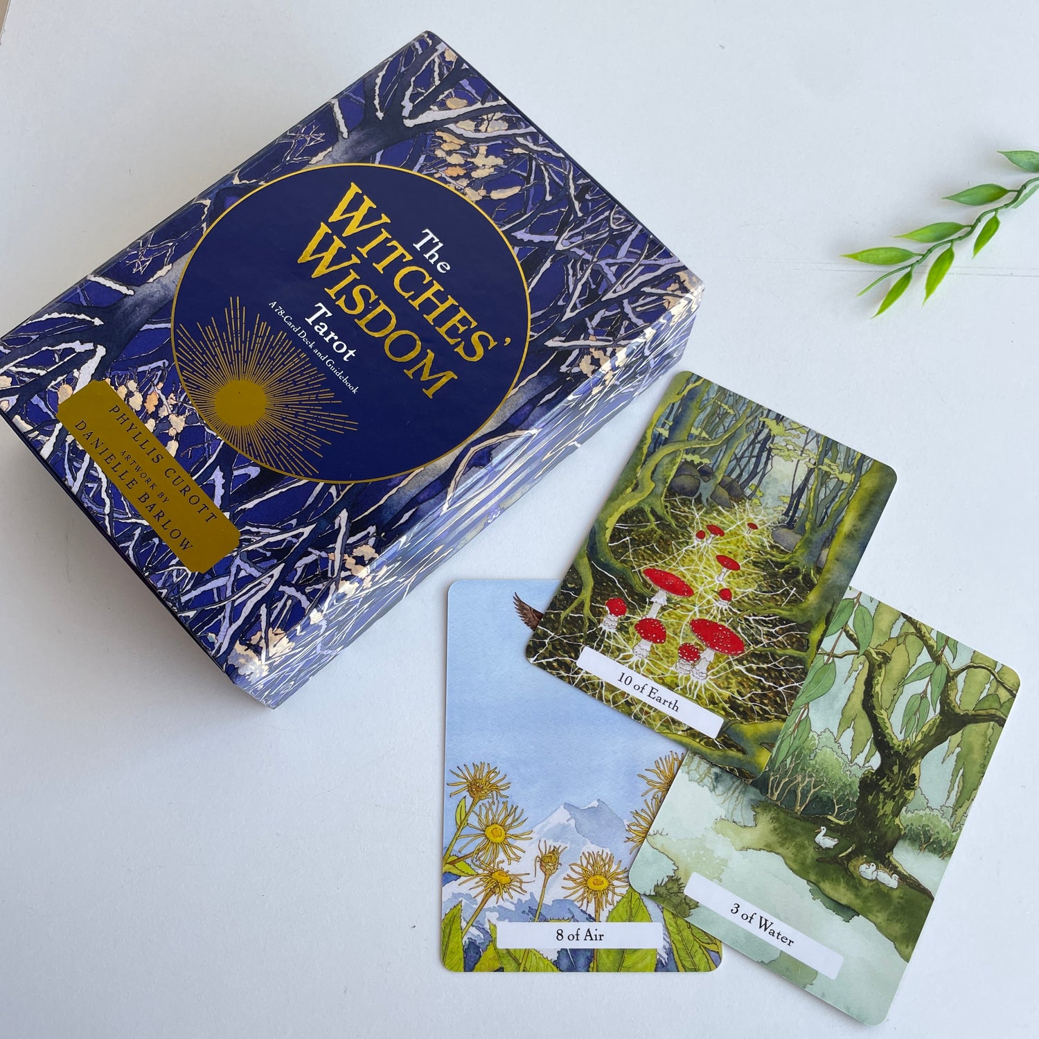 Witches Wisdom Tarot Phyllis Curott